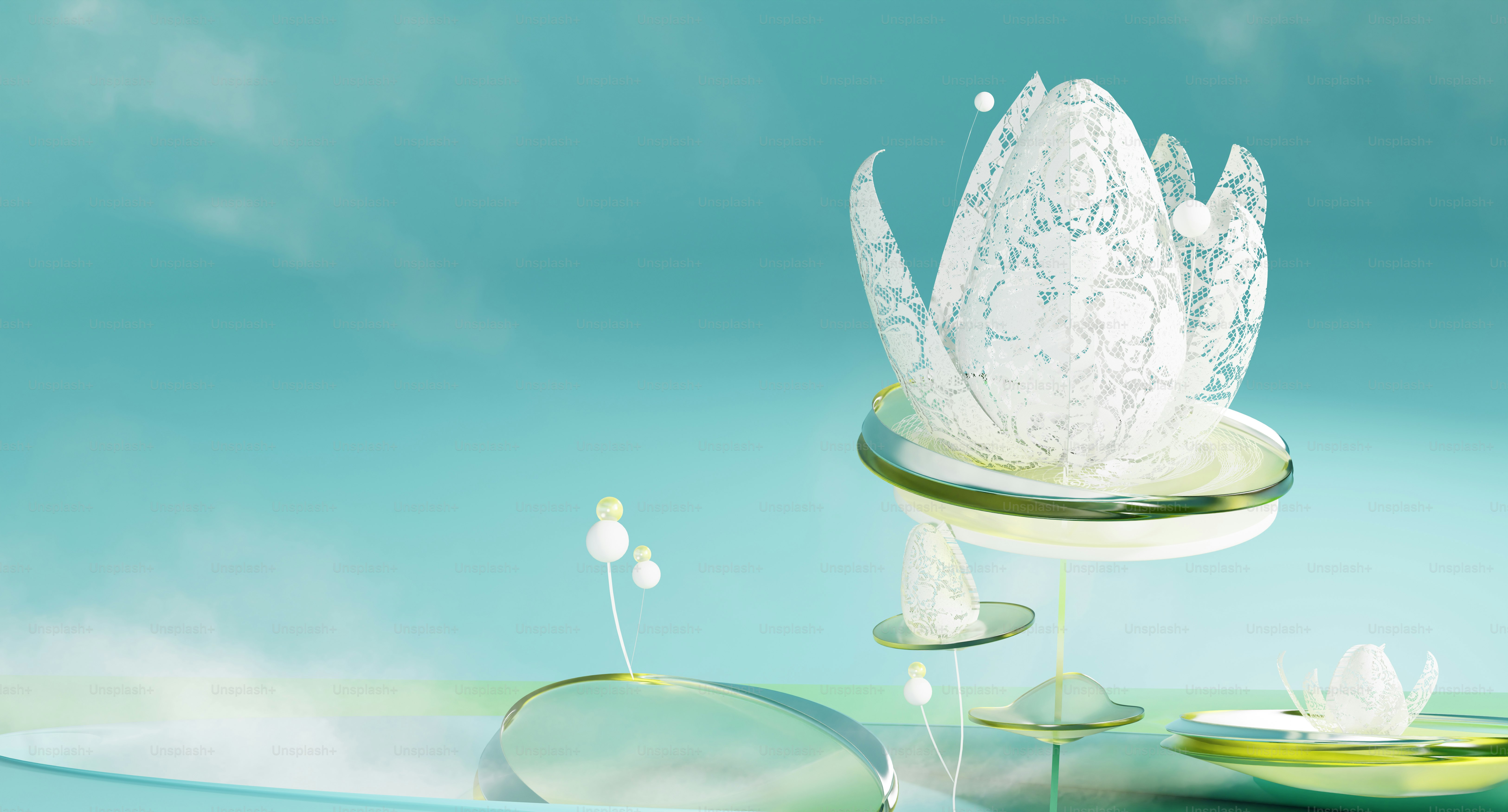 A white flower floating on top of a body of water
