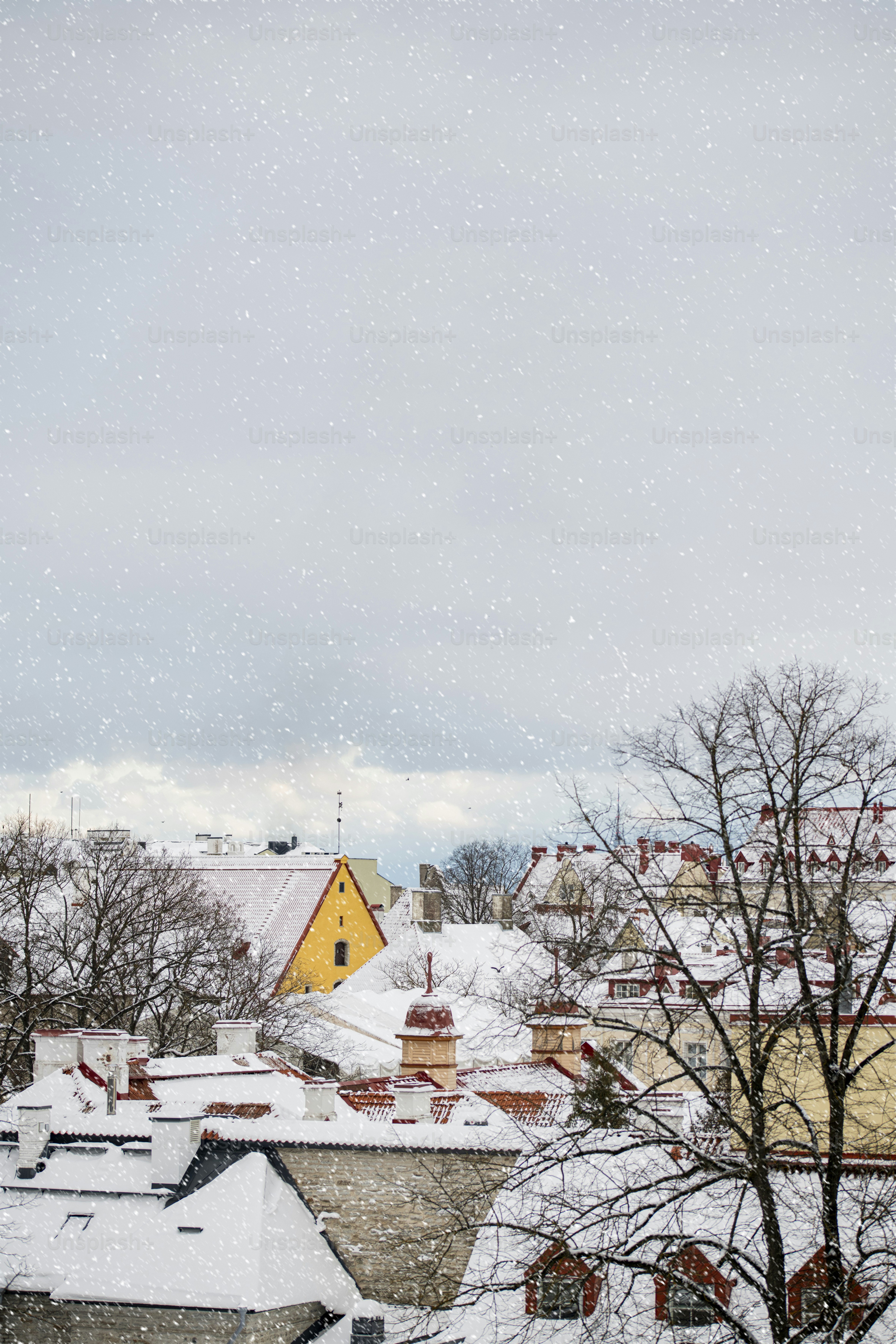 A snowy day in a small town with a clock tower
