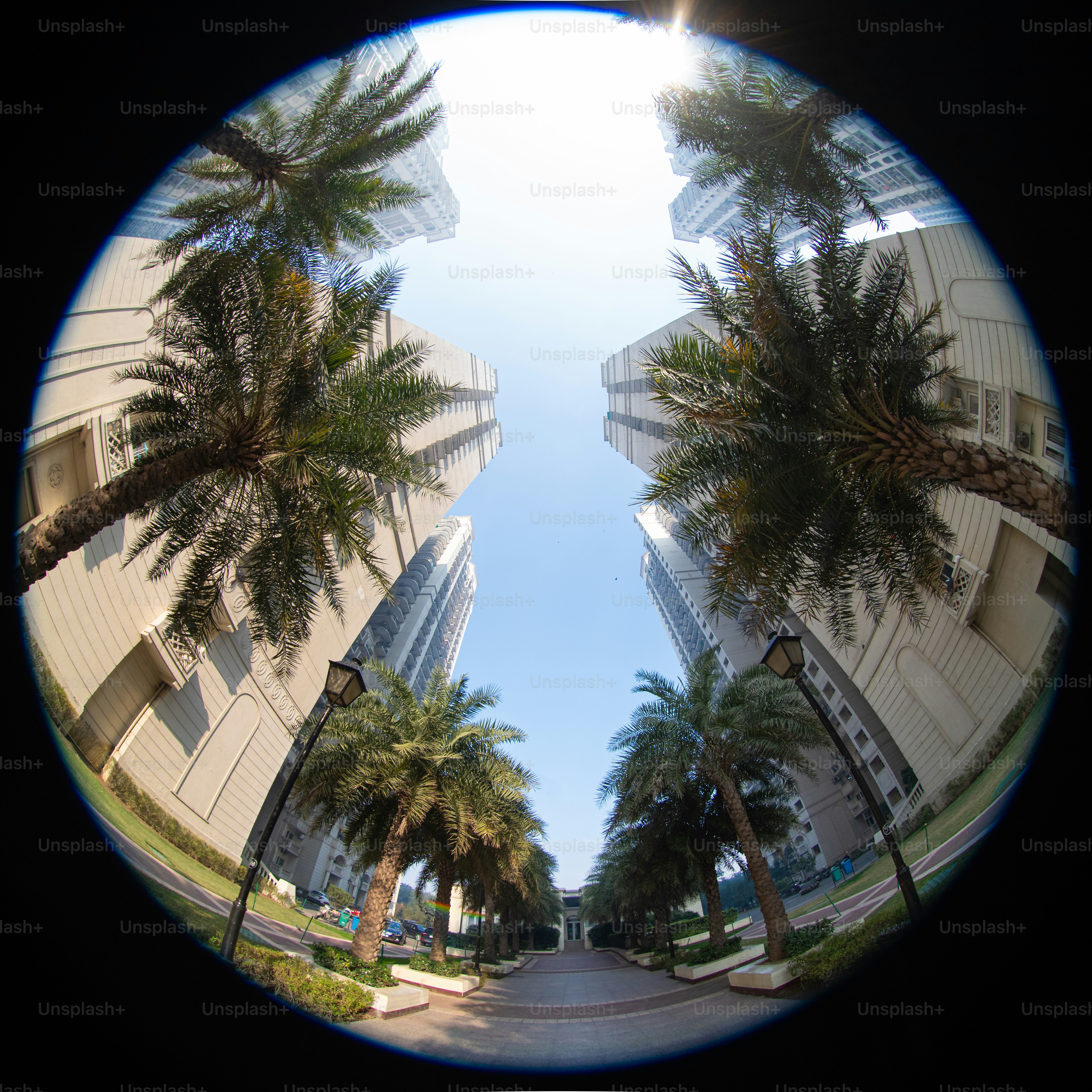 A fish eye view of a street with palm trees