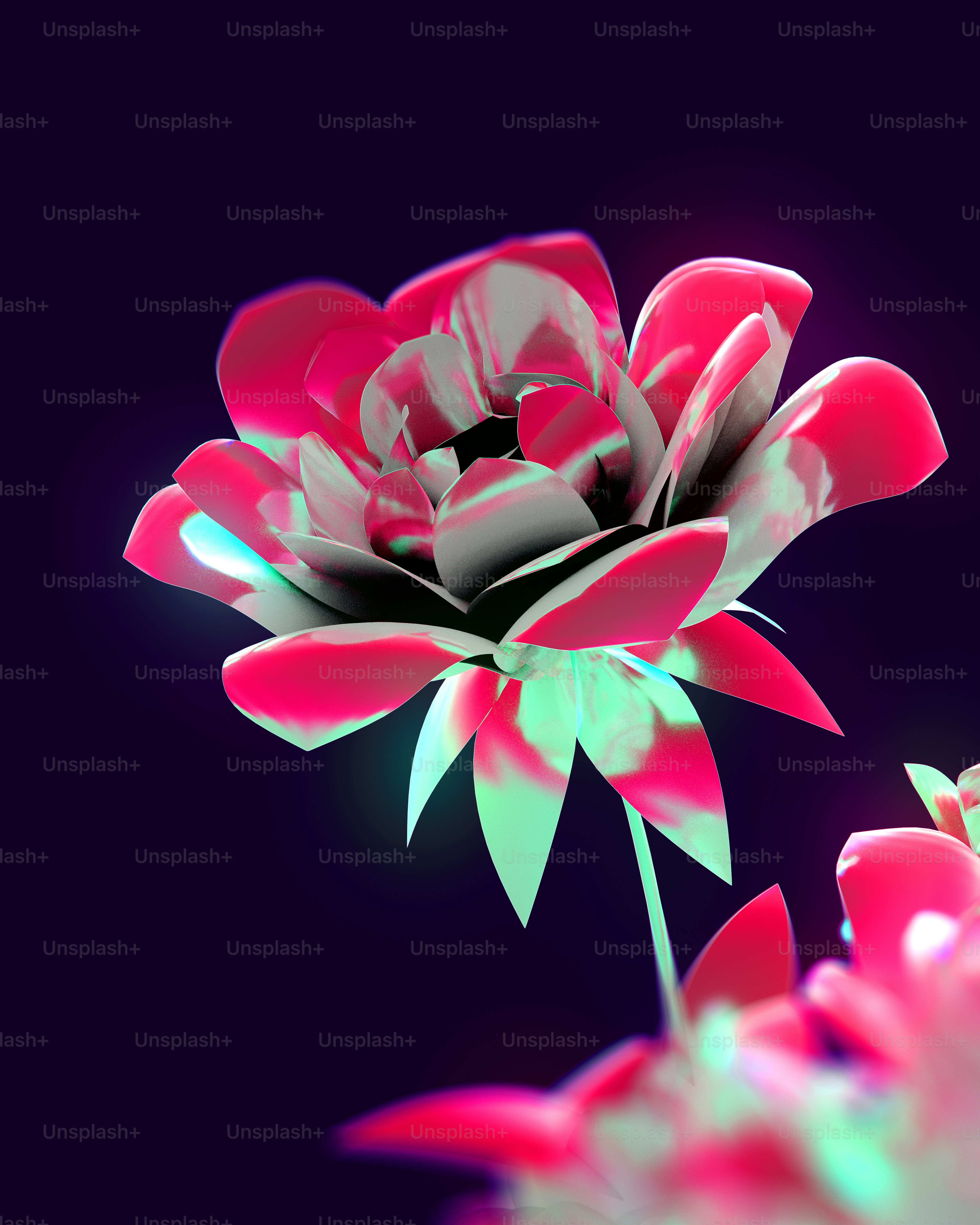A close up of a flower on a purple background