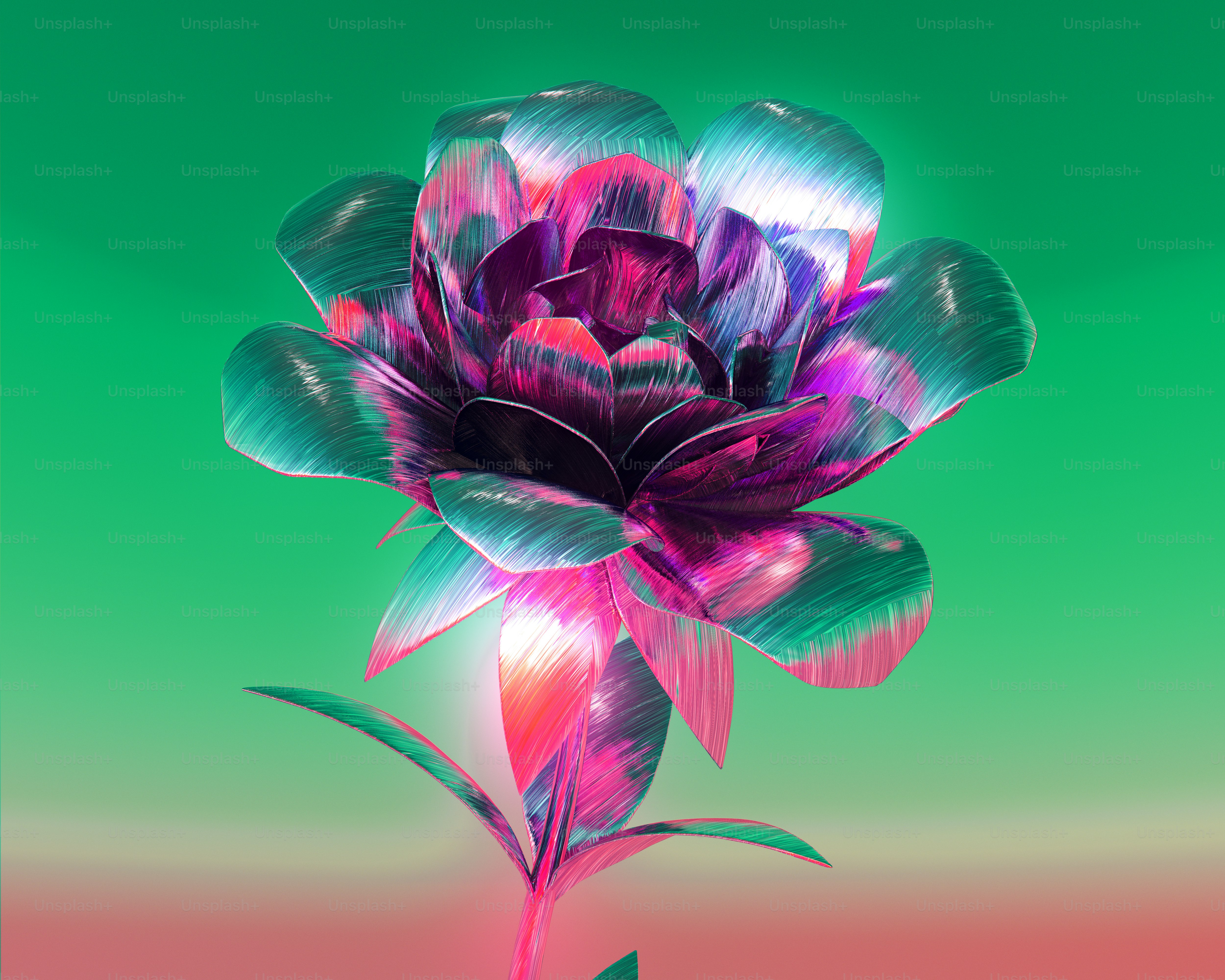 A purple flower on a green and pink background