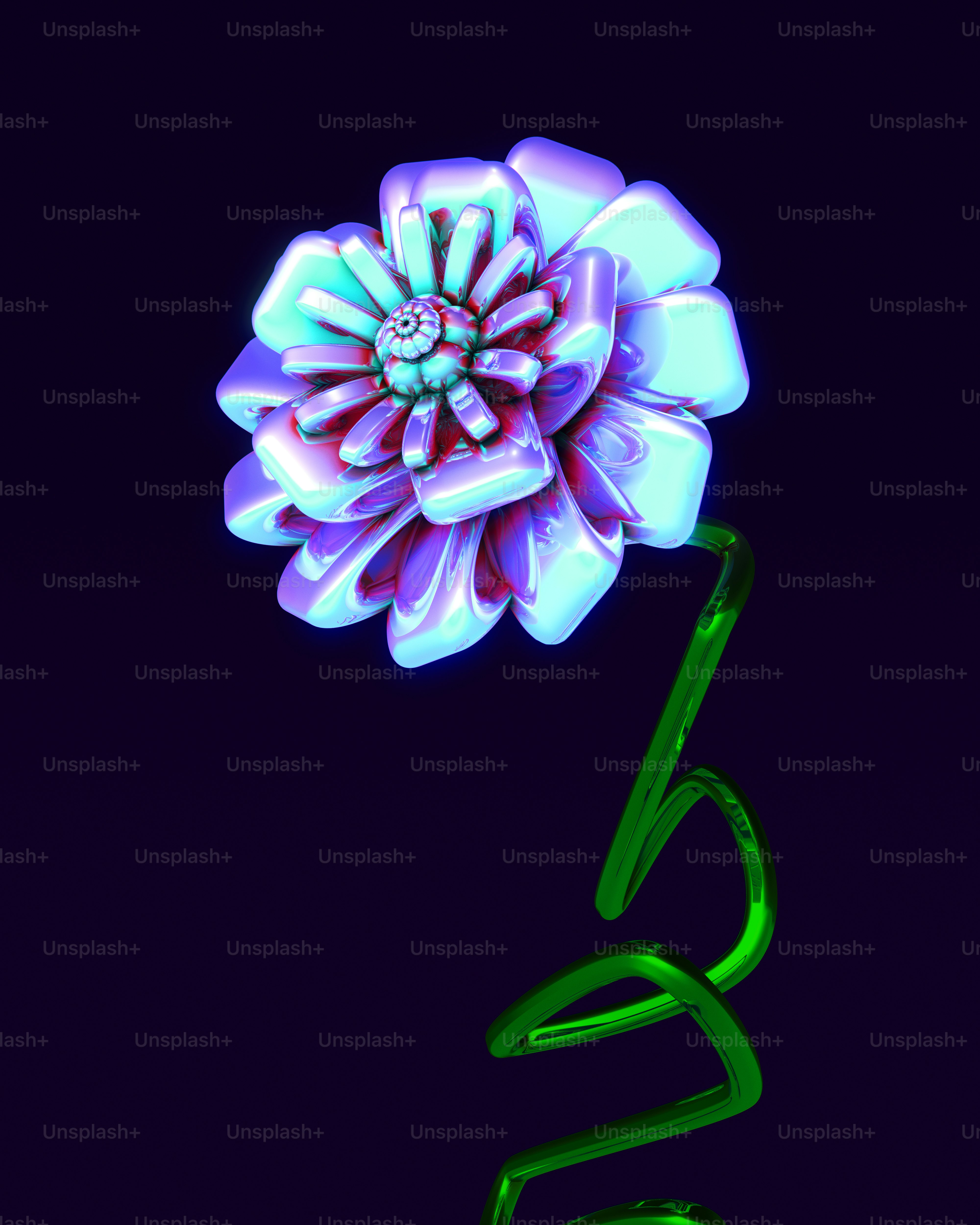 A purple flower with a green stem on a black background
