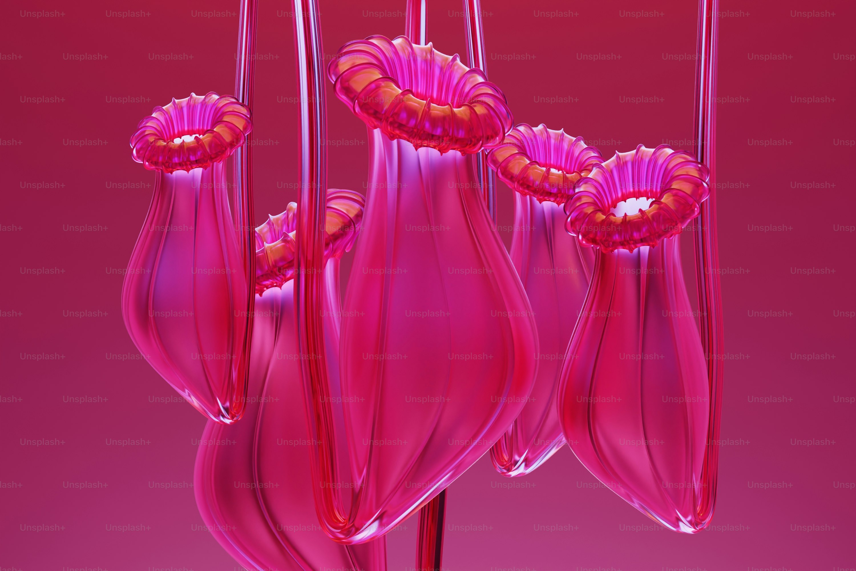 Un grupo de flores rosas sobre un fondo rosa