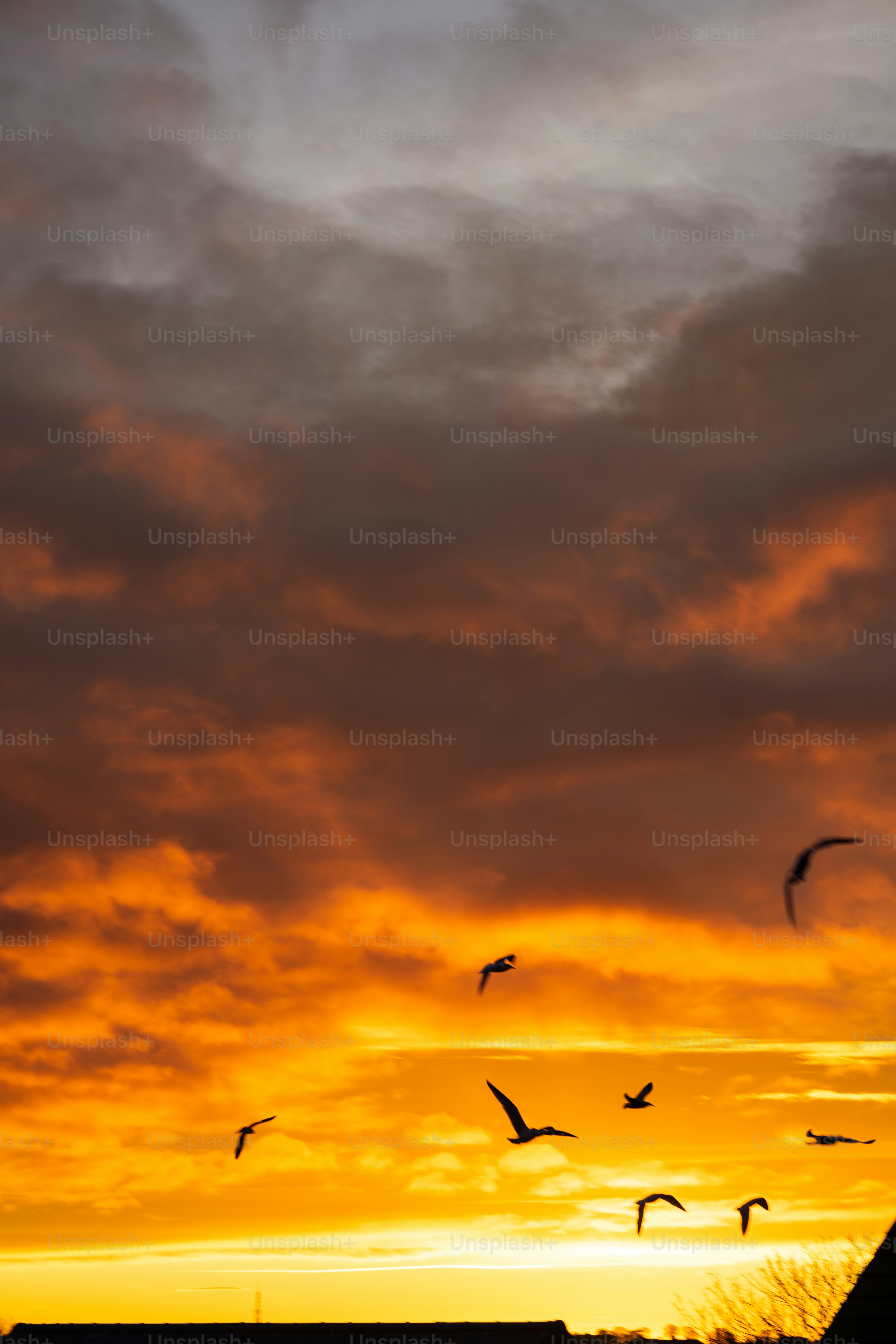 Um bando de pássaros voando através de um céu nublado