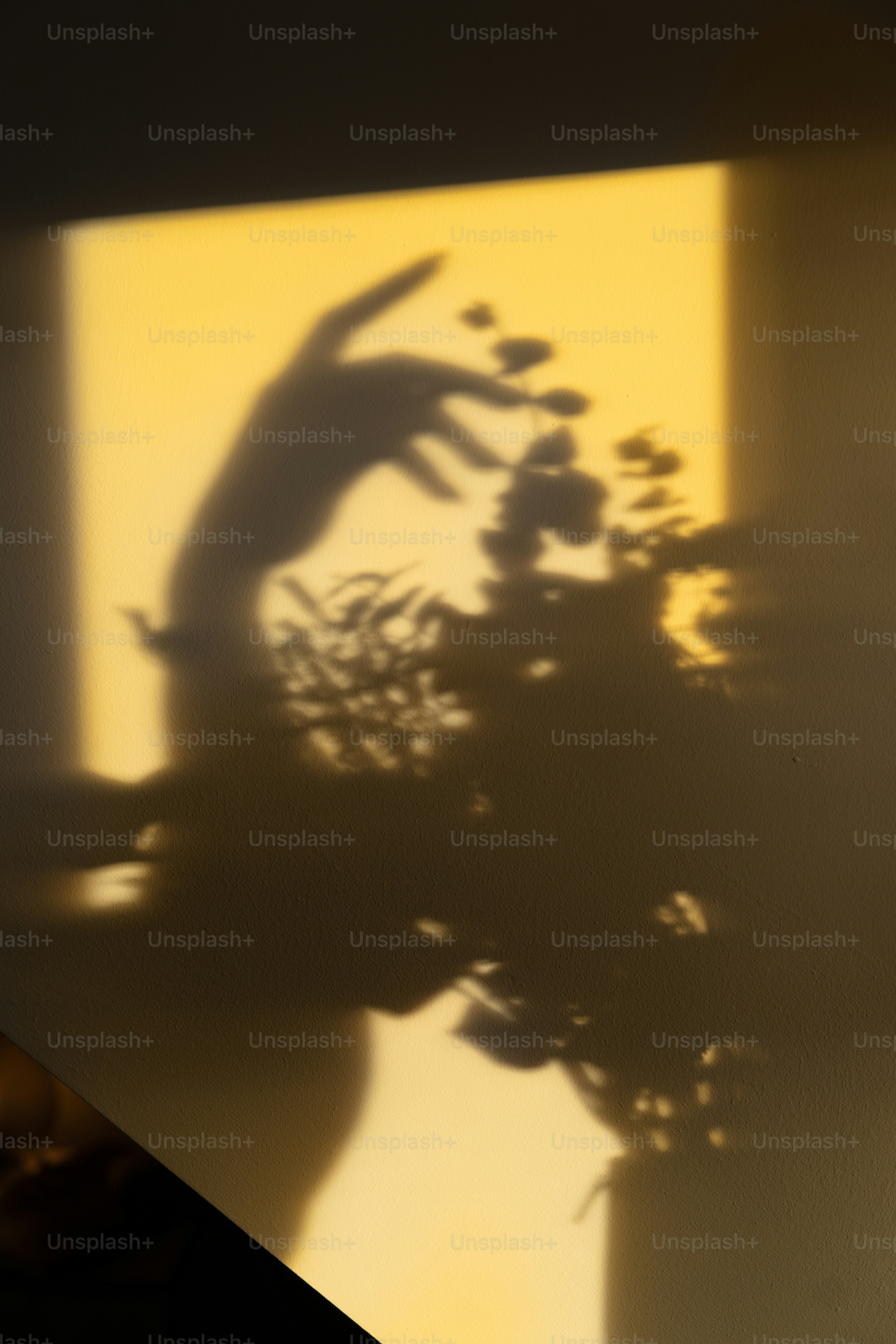 La sombra de un jarrón con flores sobre una mesa