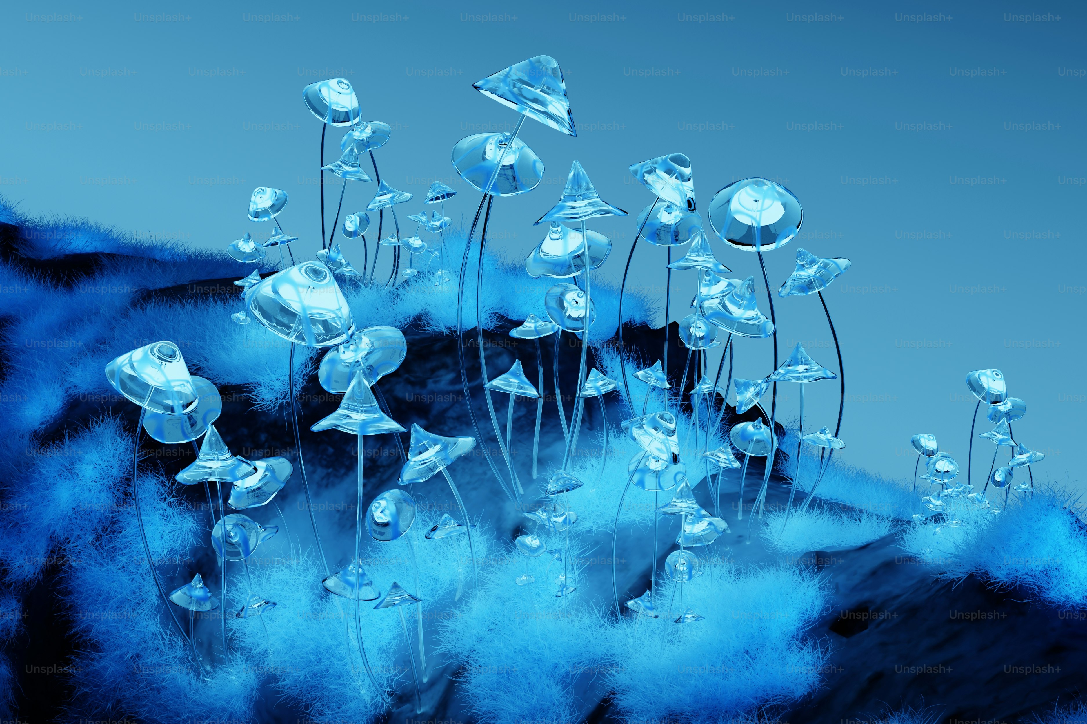 Un grupo de flores azules flotando sobre el agua