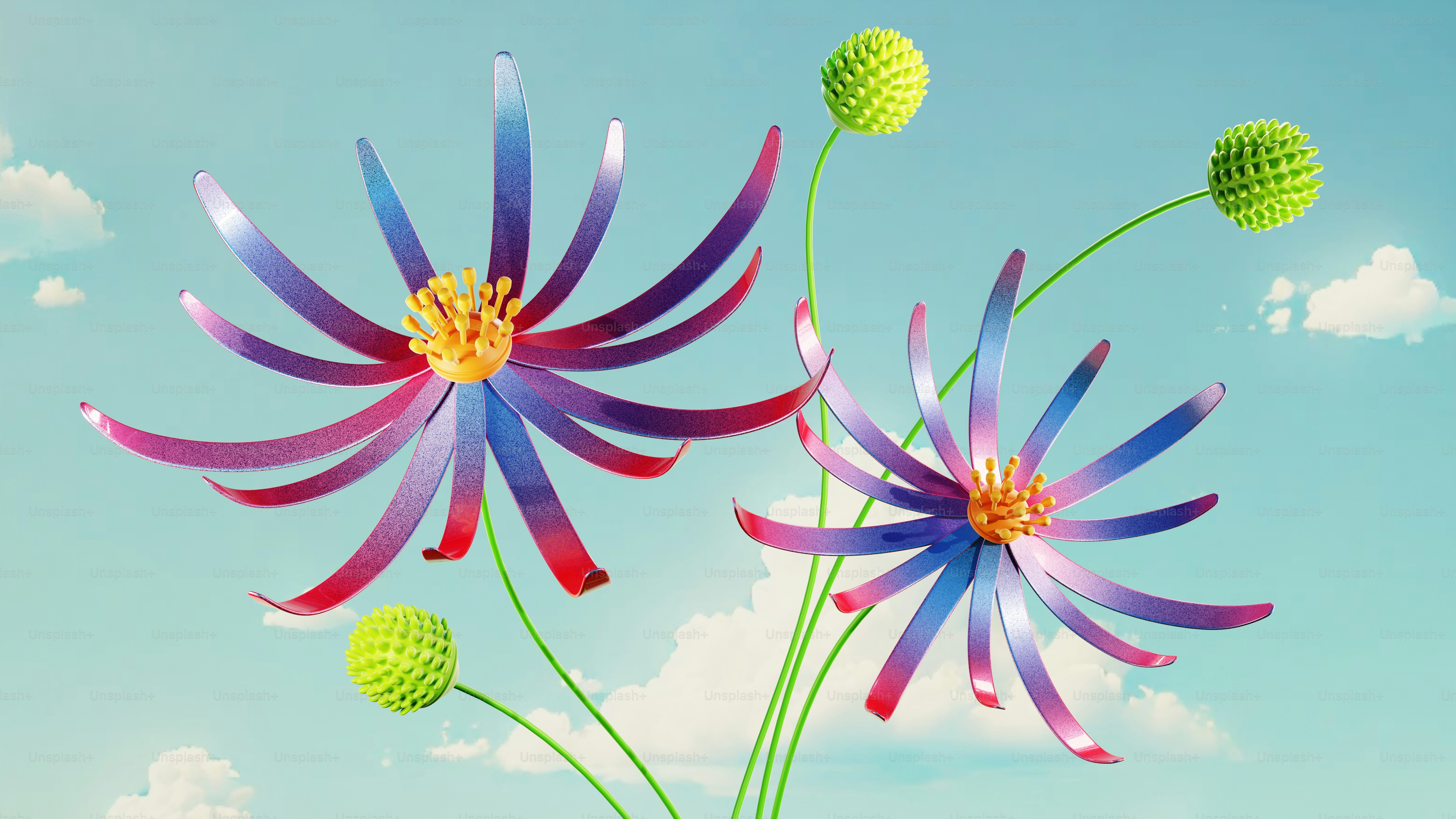 A couple of colorful flowers sitting on top of a lush green field