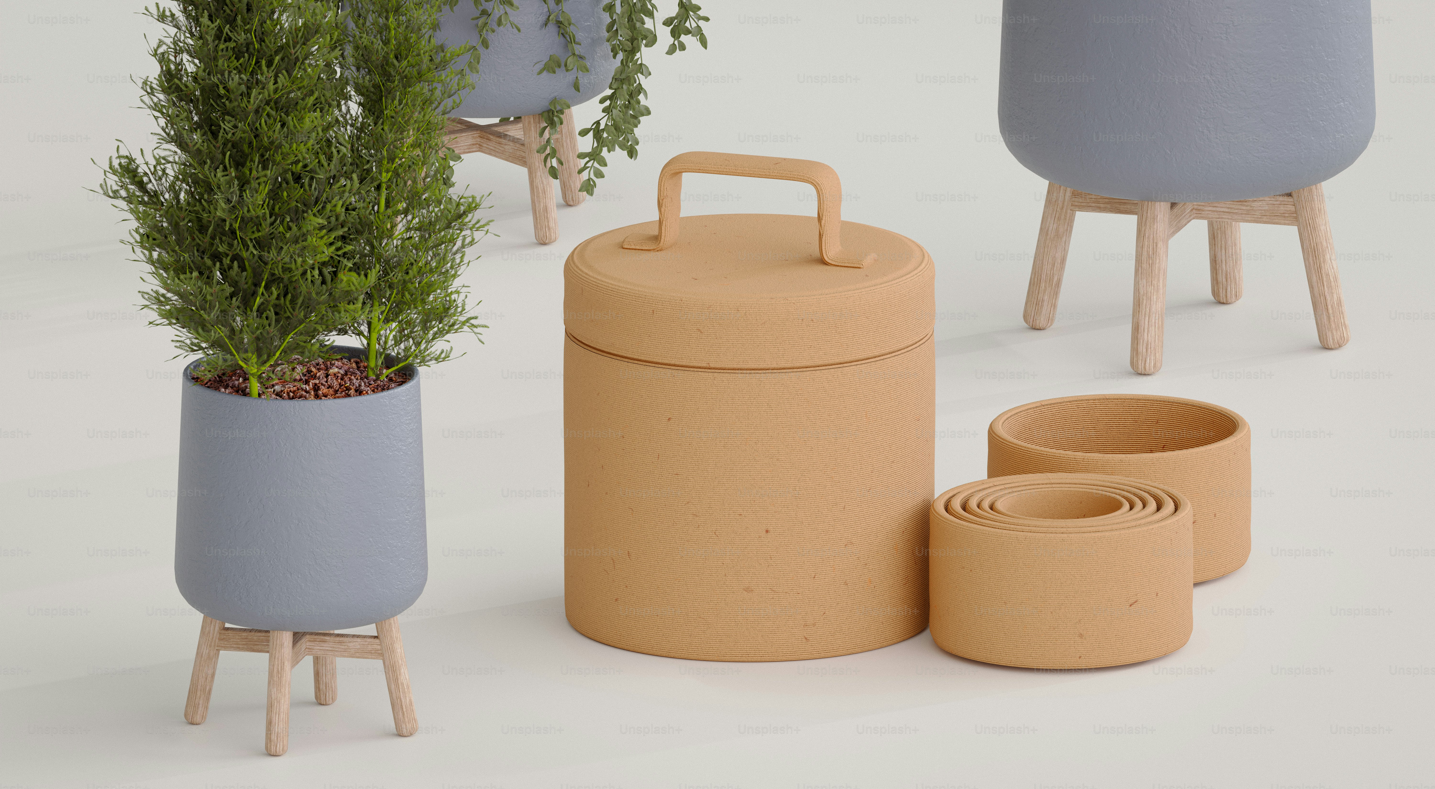 A group of three planters sitting next to each other