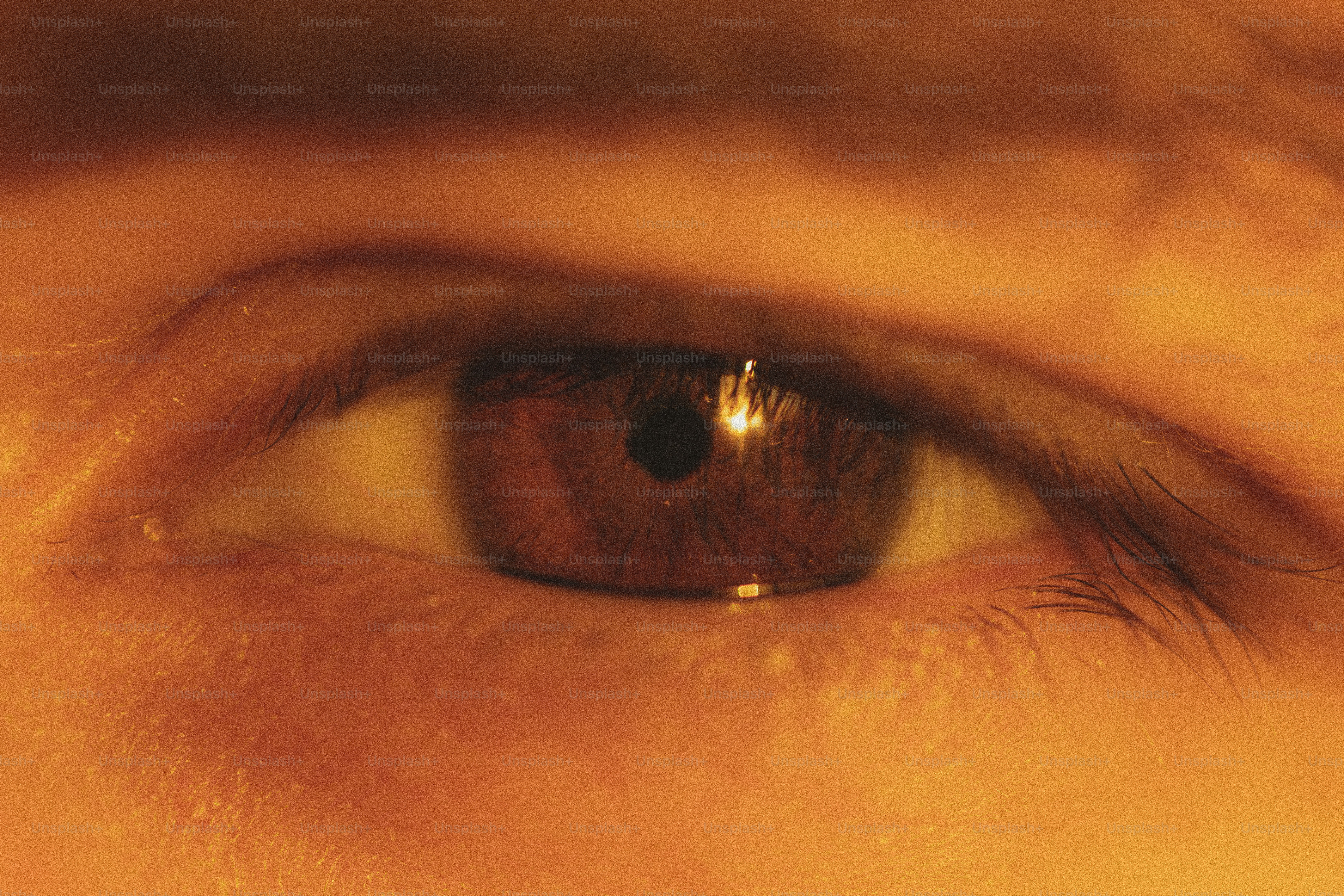 premium_photo-1736853811842-4a658a89773f?ixlib=rb-4.0.3