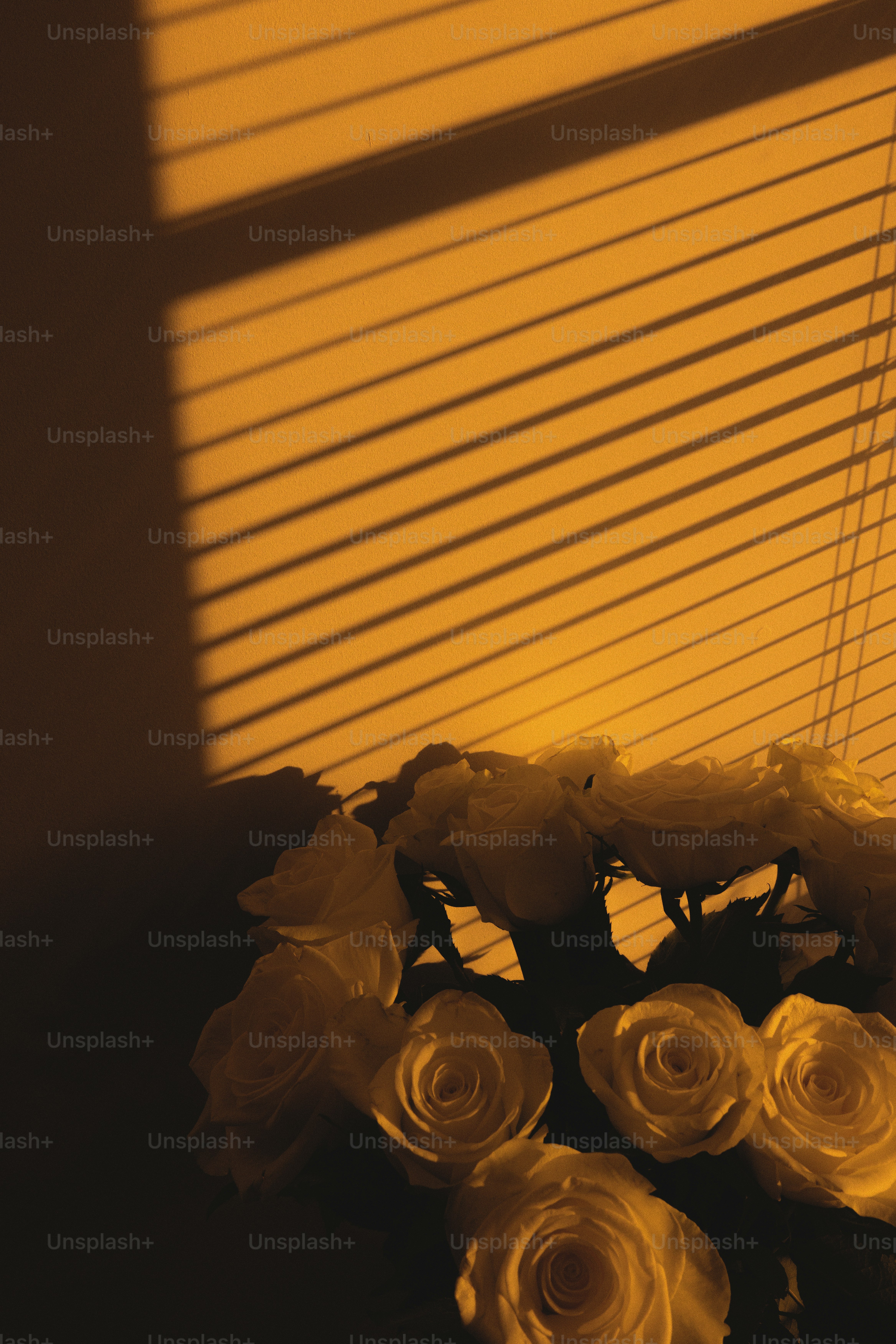 Um buquê de rosas brancas sentado na frente de uma janela