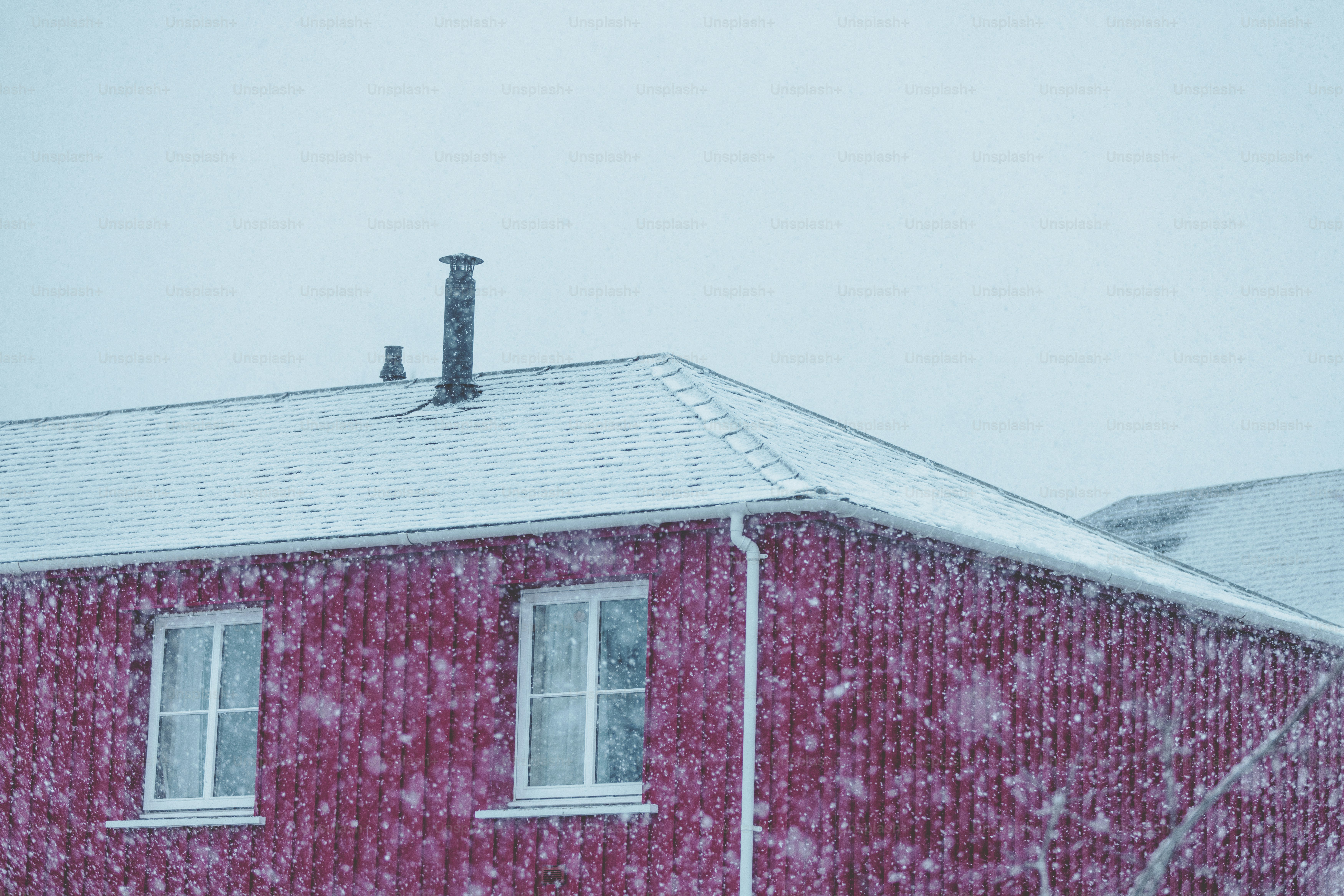 premium_photo-1736880267086-10677fe3784b
