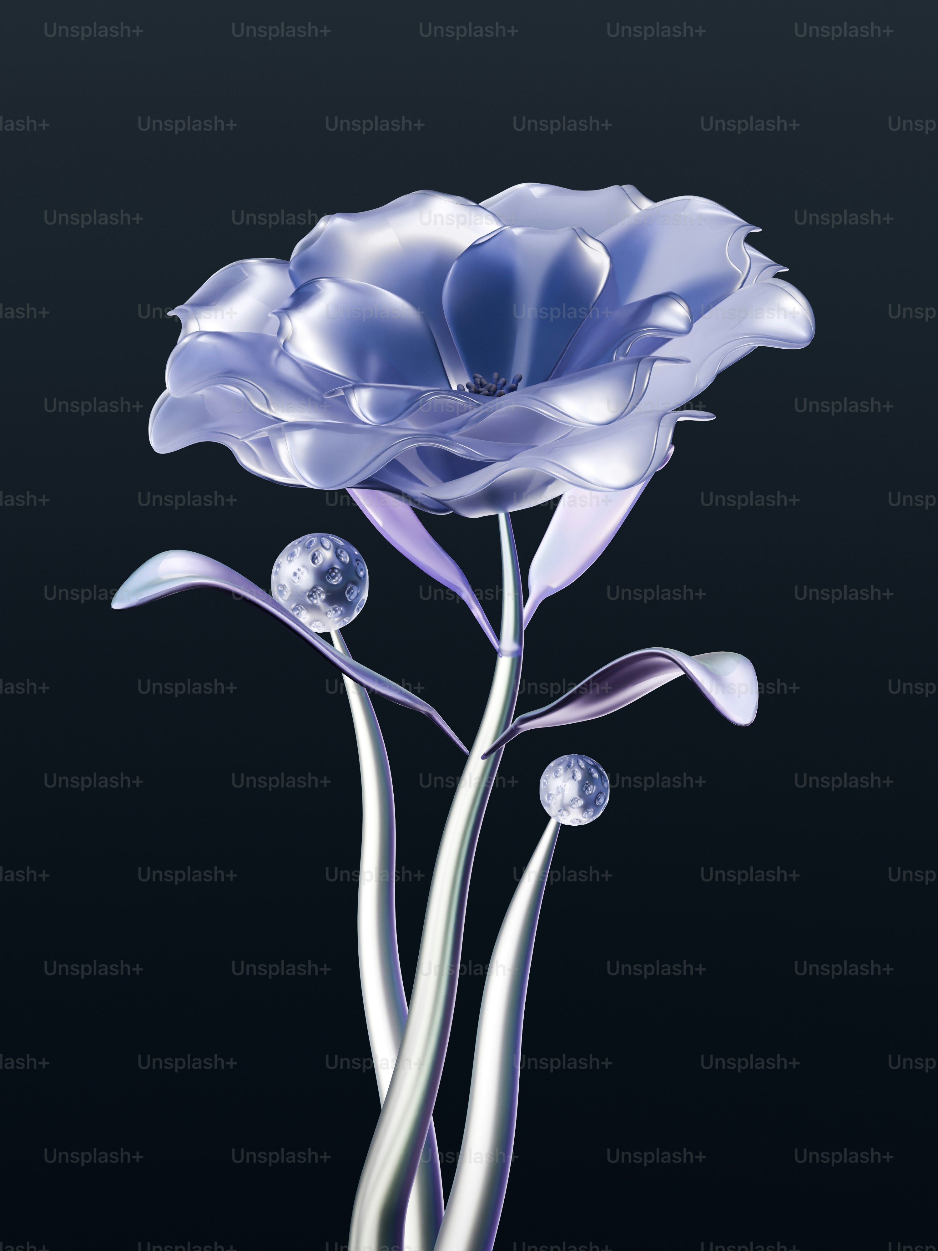 Une fleur bleue avec un fond noir