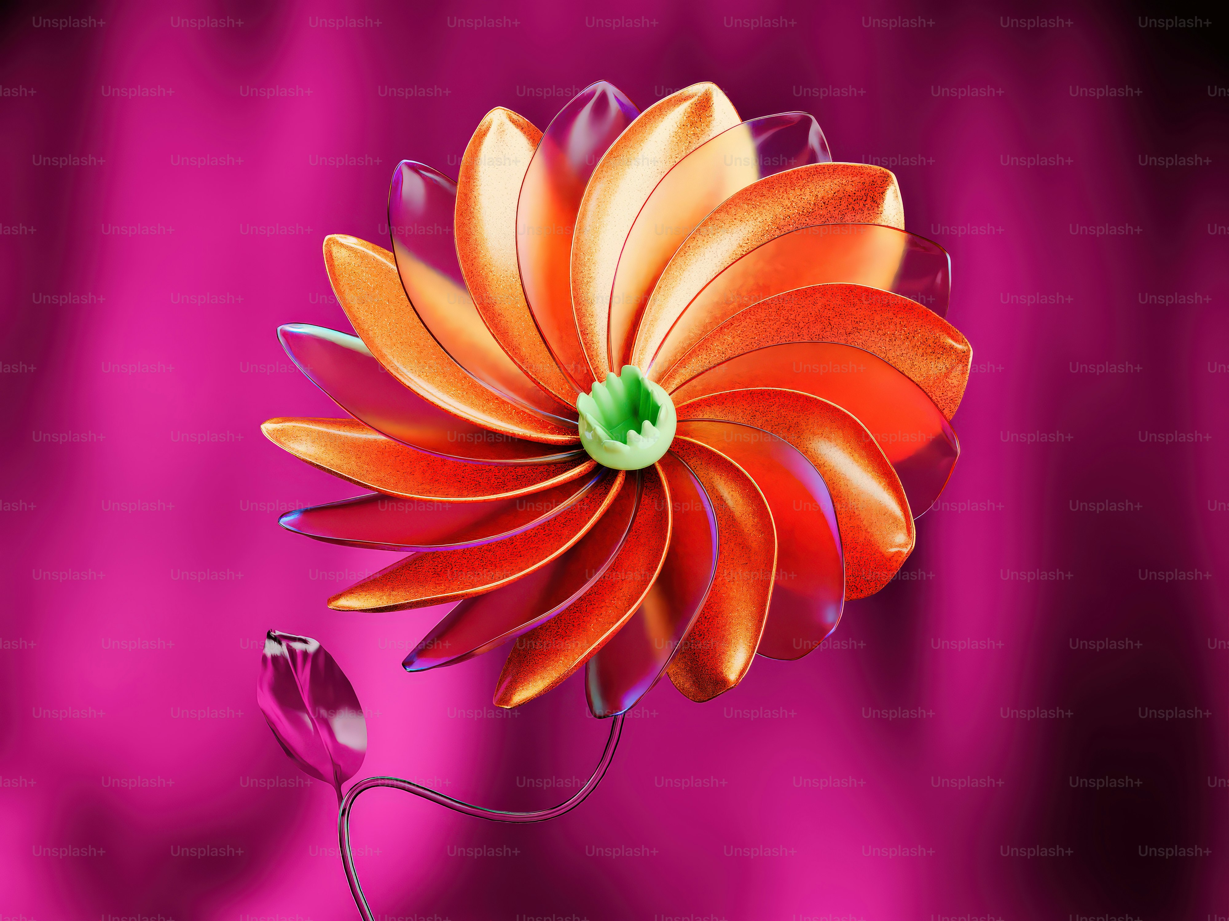 An orange flower with a green center on a pink background