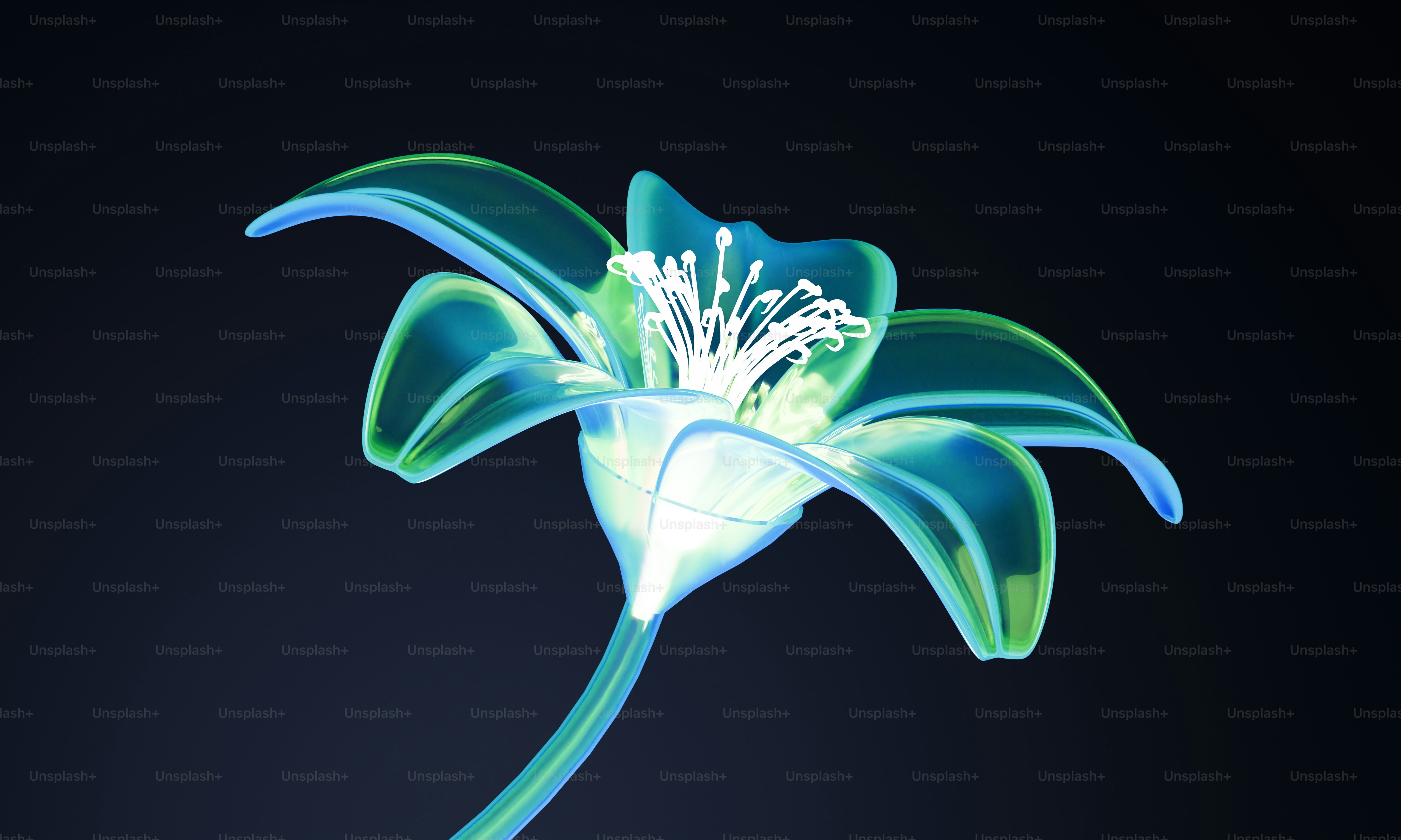 A blue flower with a green stem on a black background
