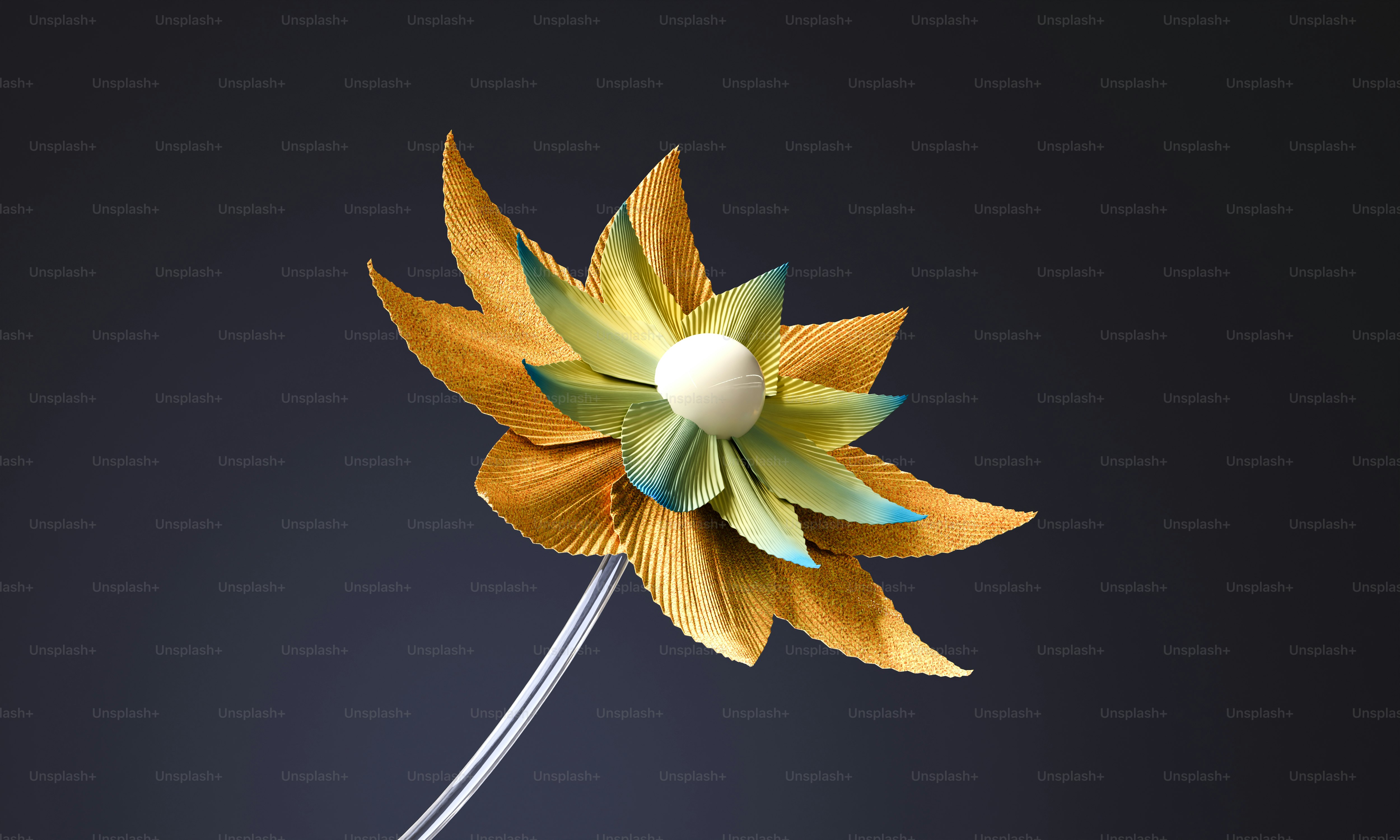 A yellow flower with a white center on a black background