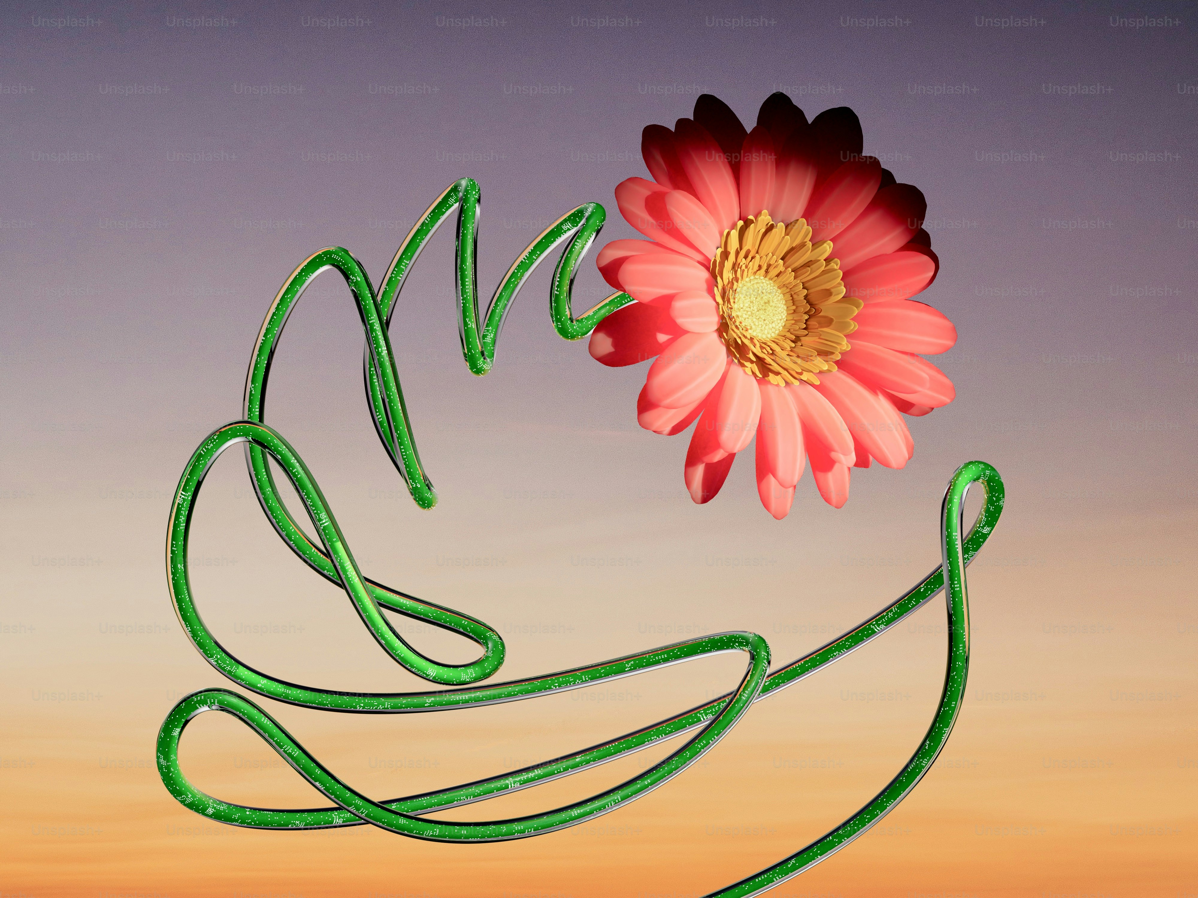 A pink flower floating in the air next to a green string photo ...
