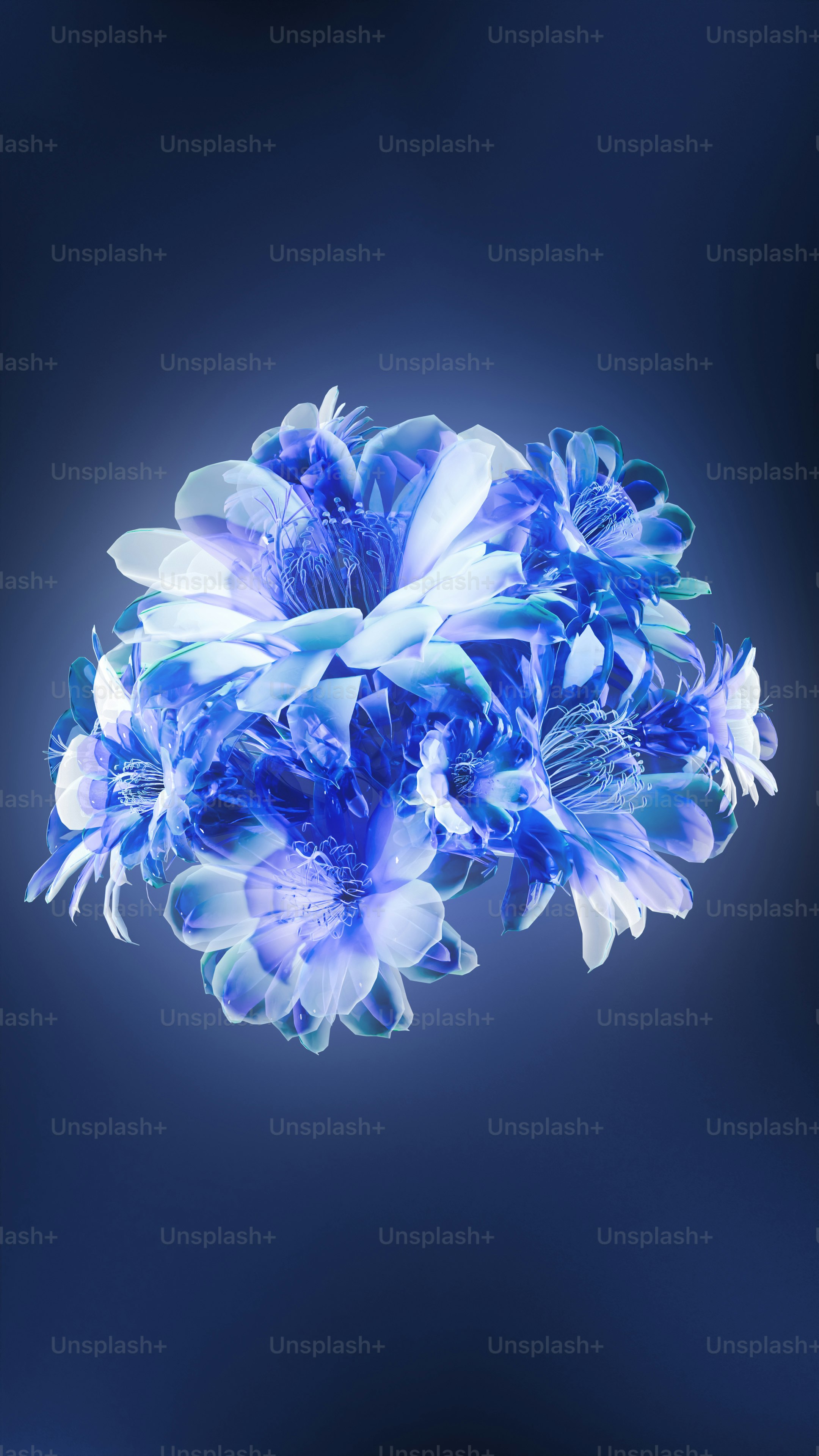 A bunch of blue flowers on a black background