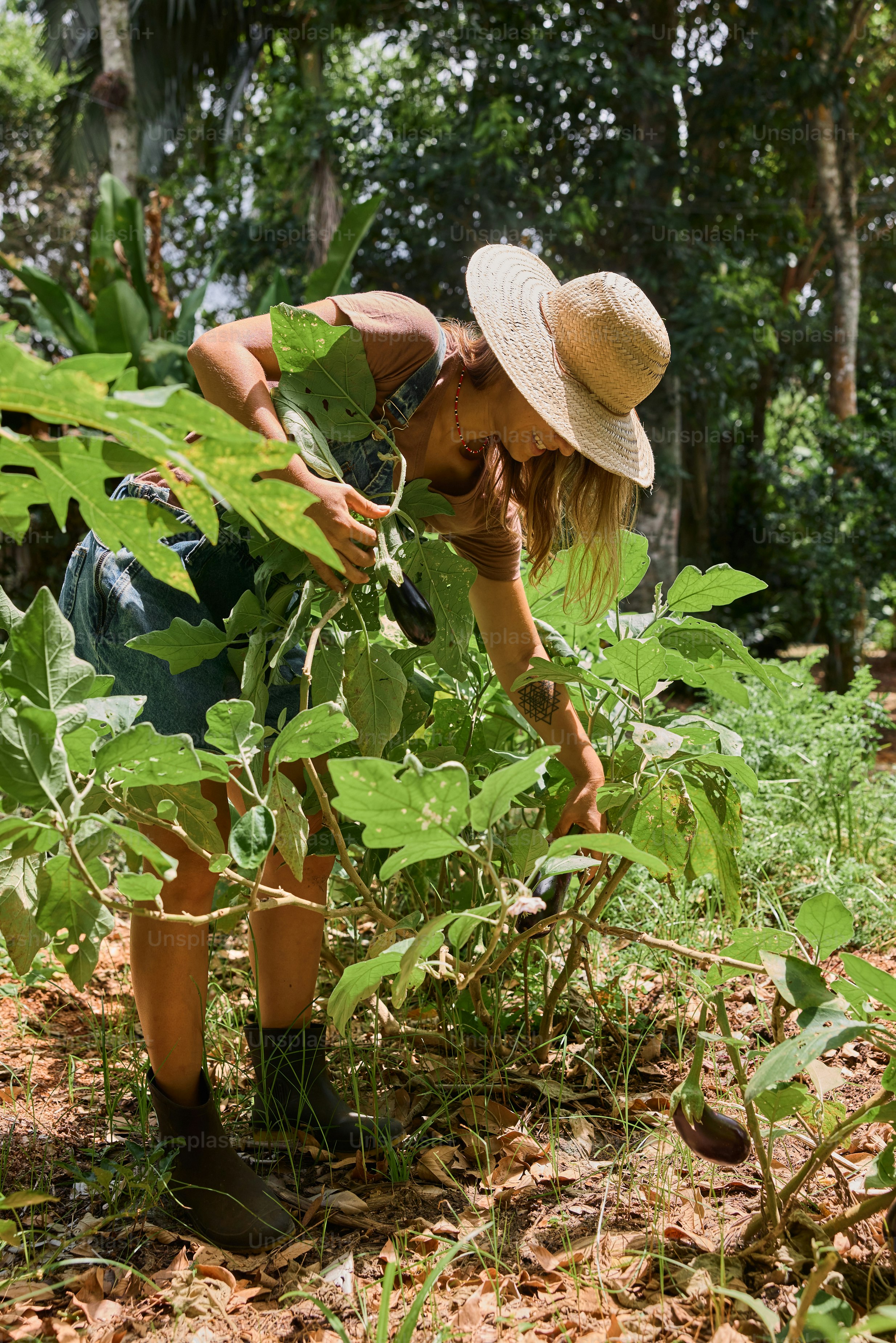 A woman in a hat is picking plants