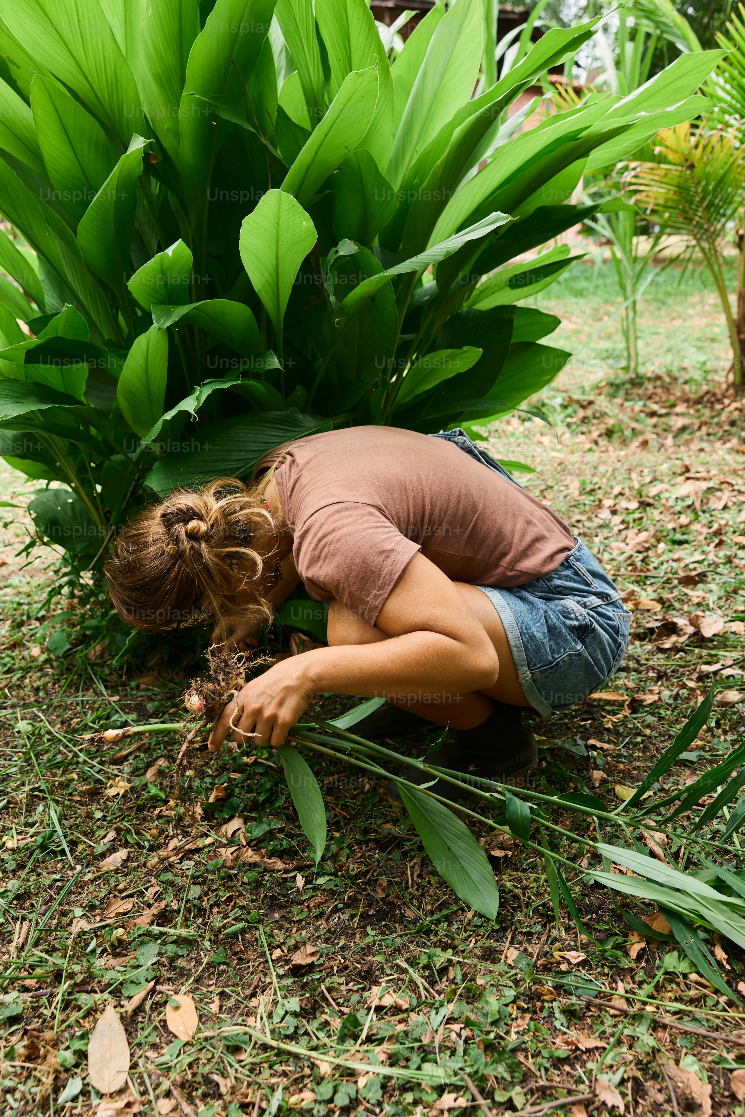 Una donna inginocchiata accanto a una pianta verde lussureggiante