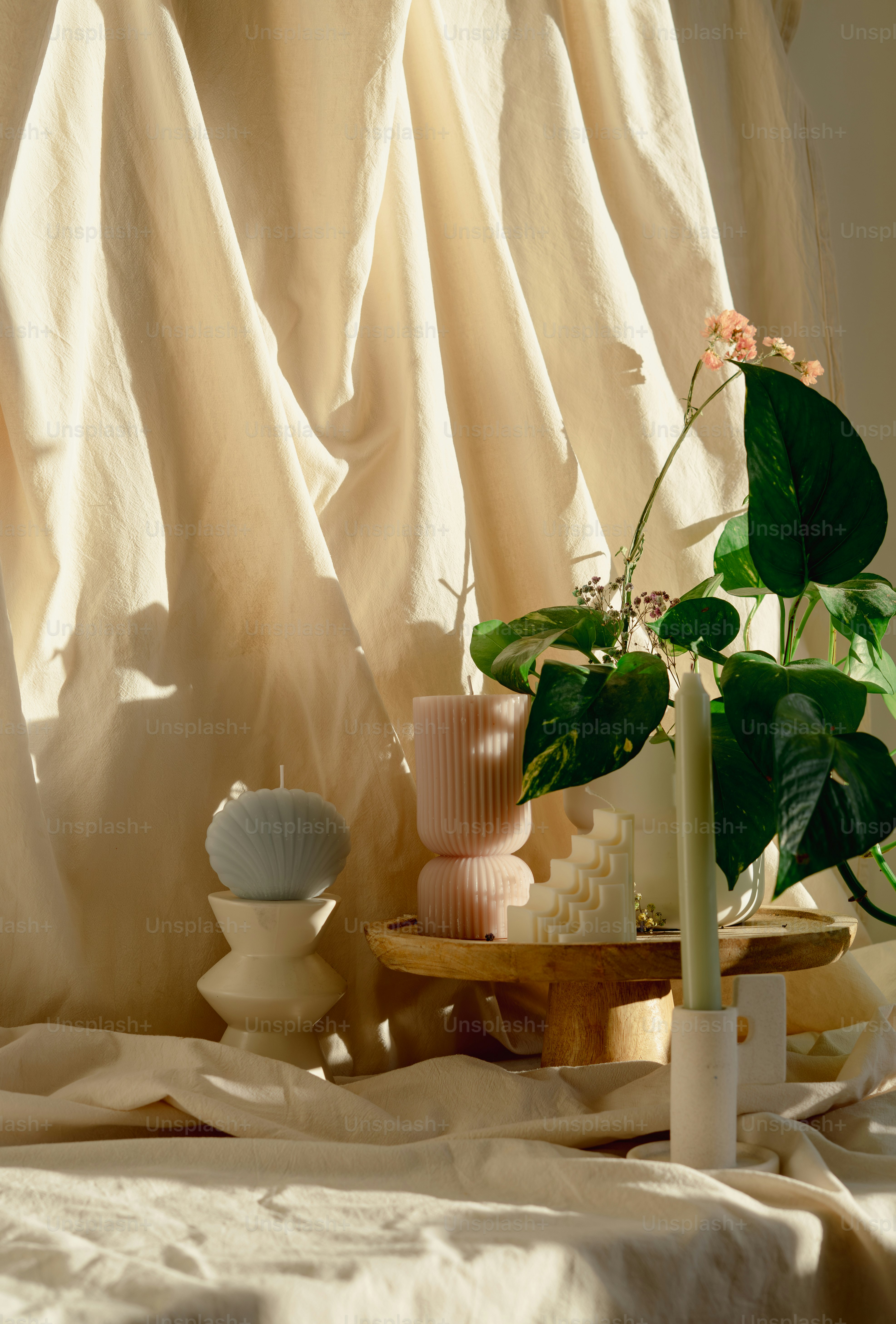A table topped with a potted plant next to a window