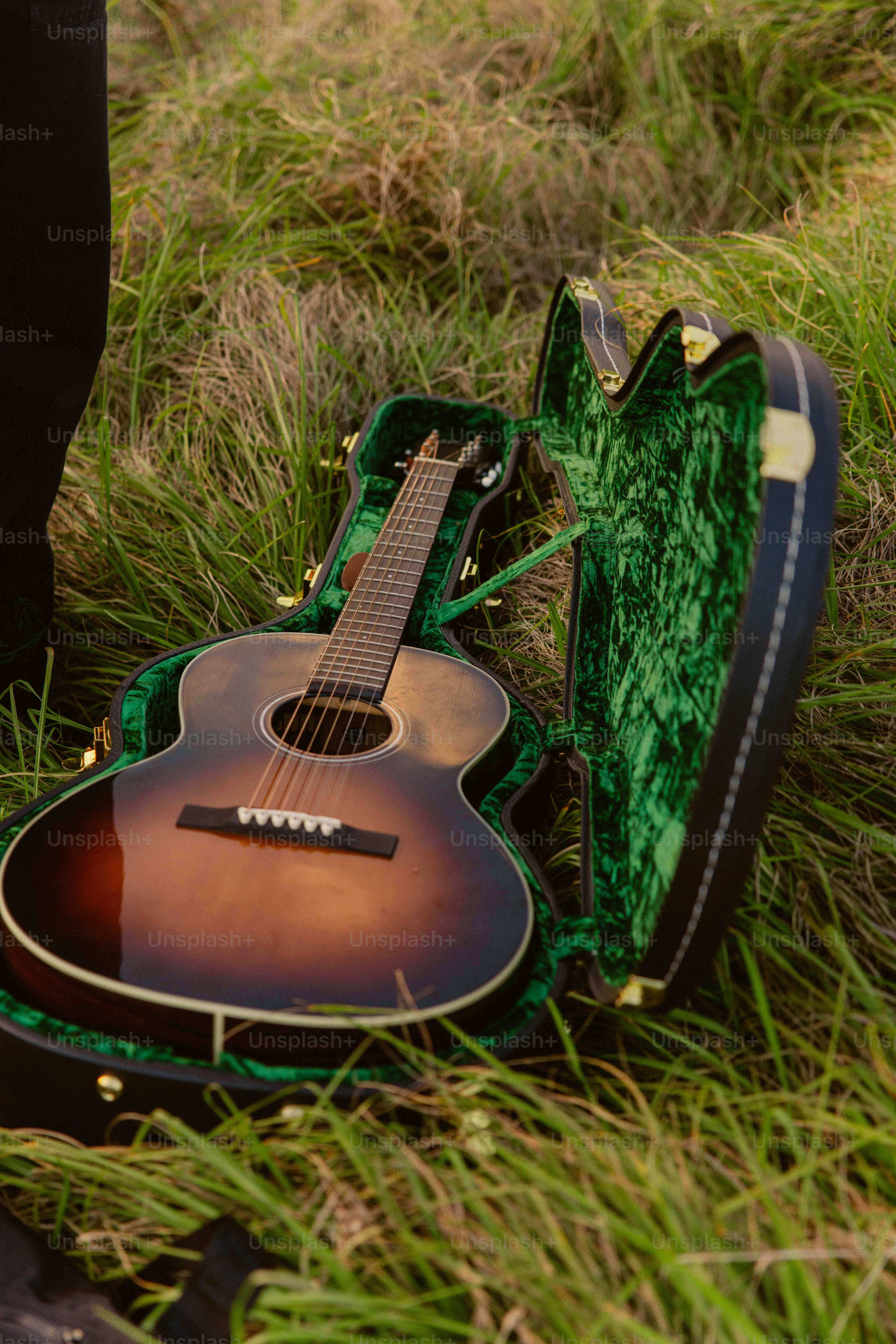 Una chitarra in una custodia seduta nell'erba