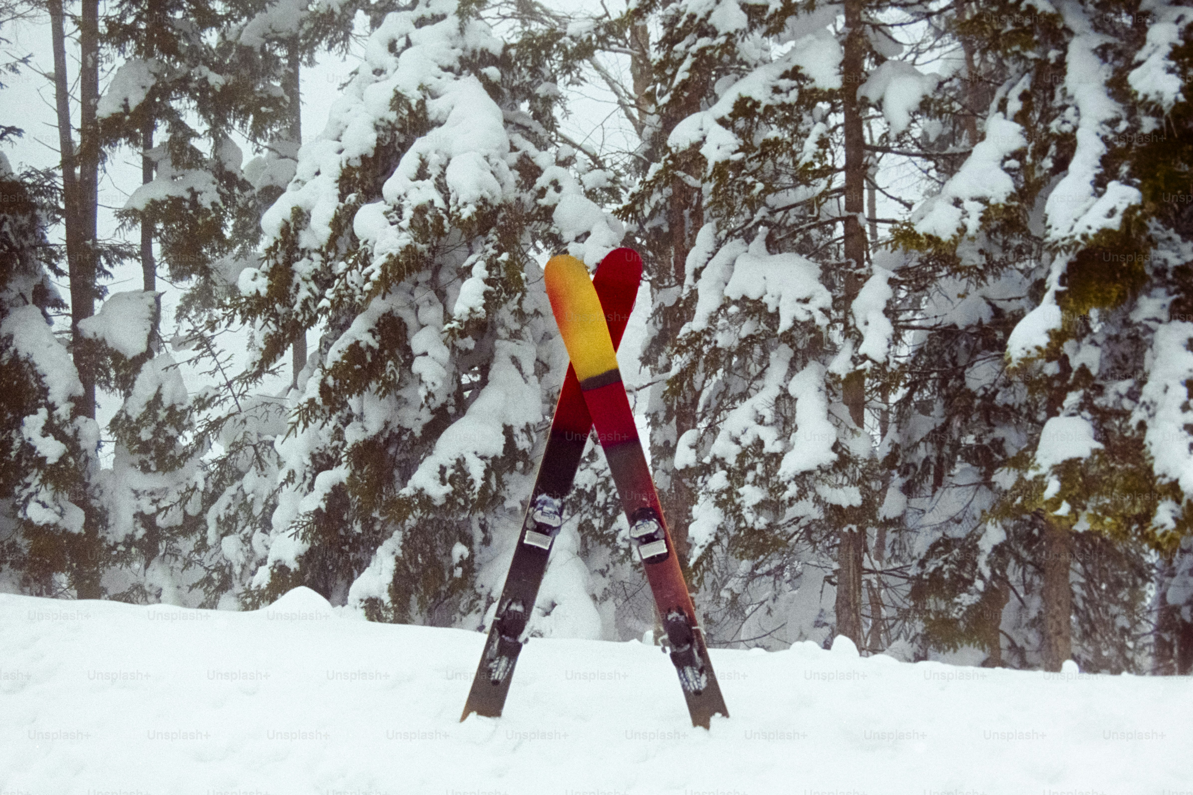 A pair of skis sticking out of the snow