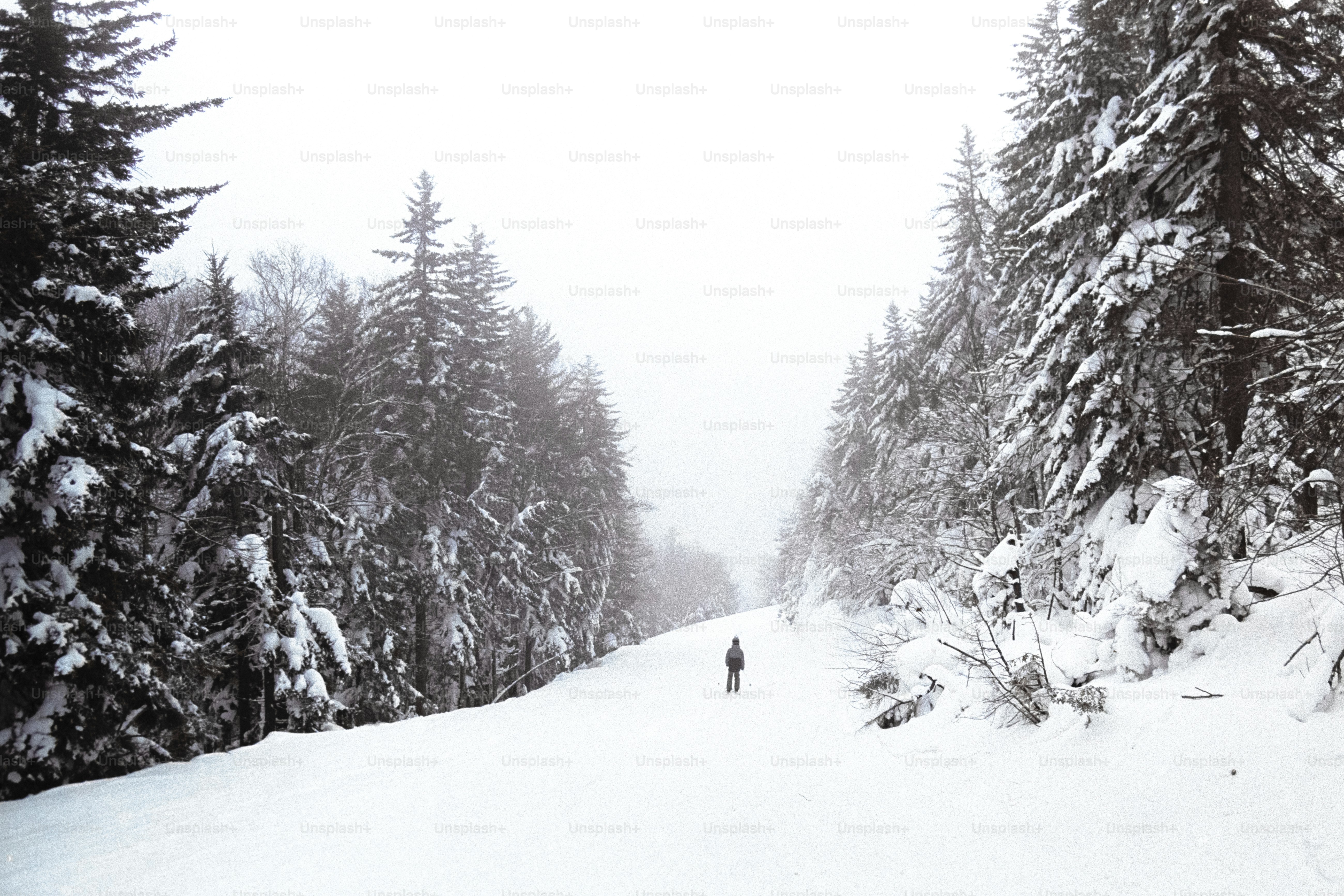 A person riding skis down a snow covered slope