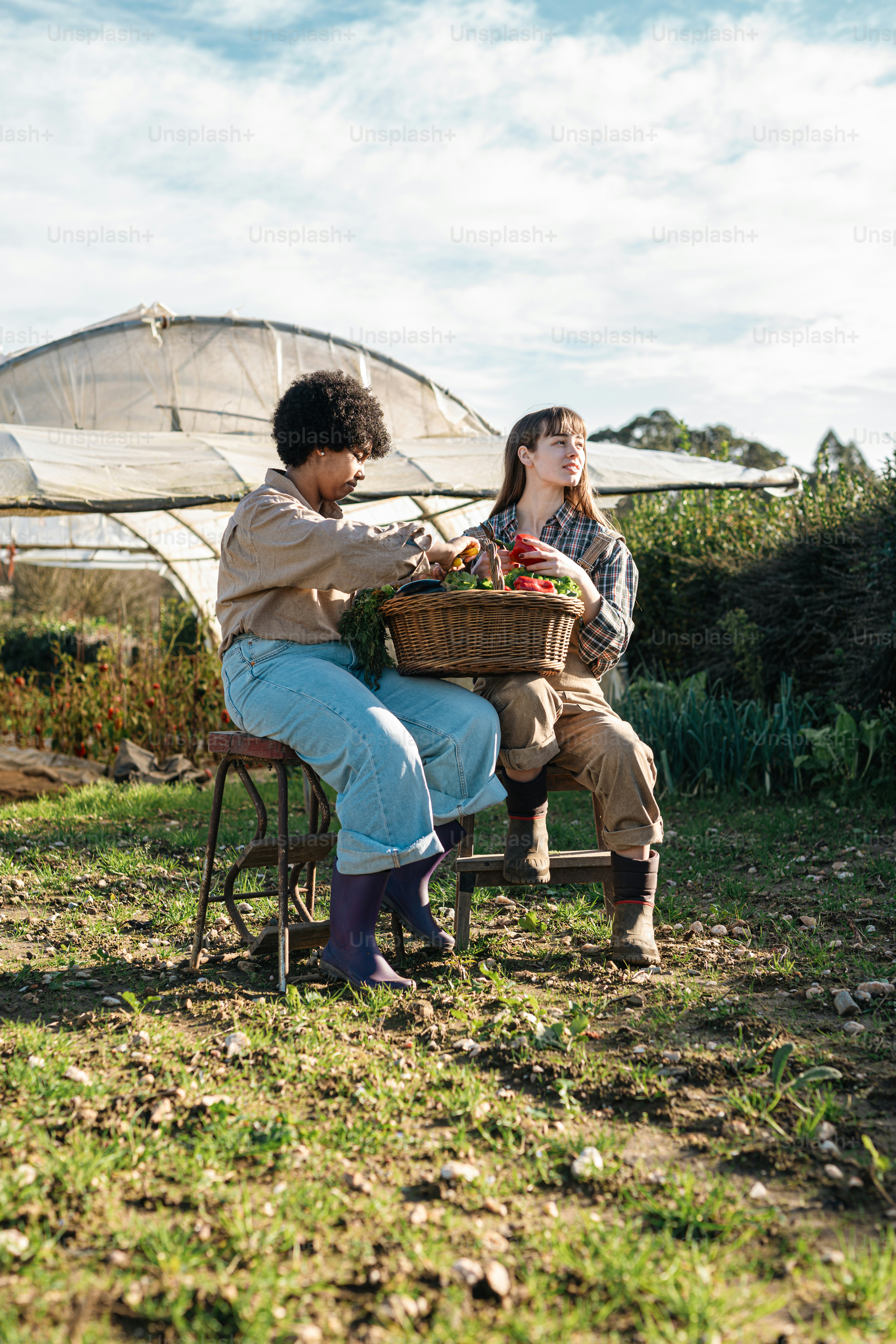 Un uomo e una donna seduti su una panchina in un giardino