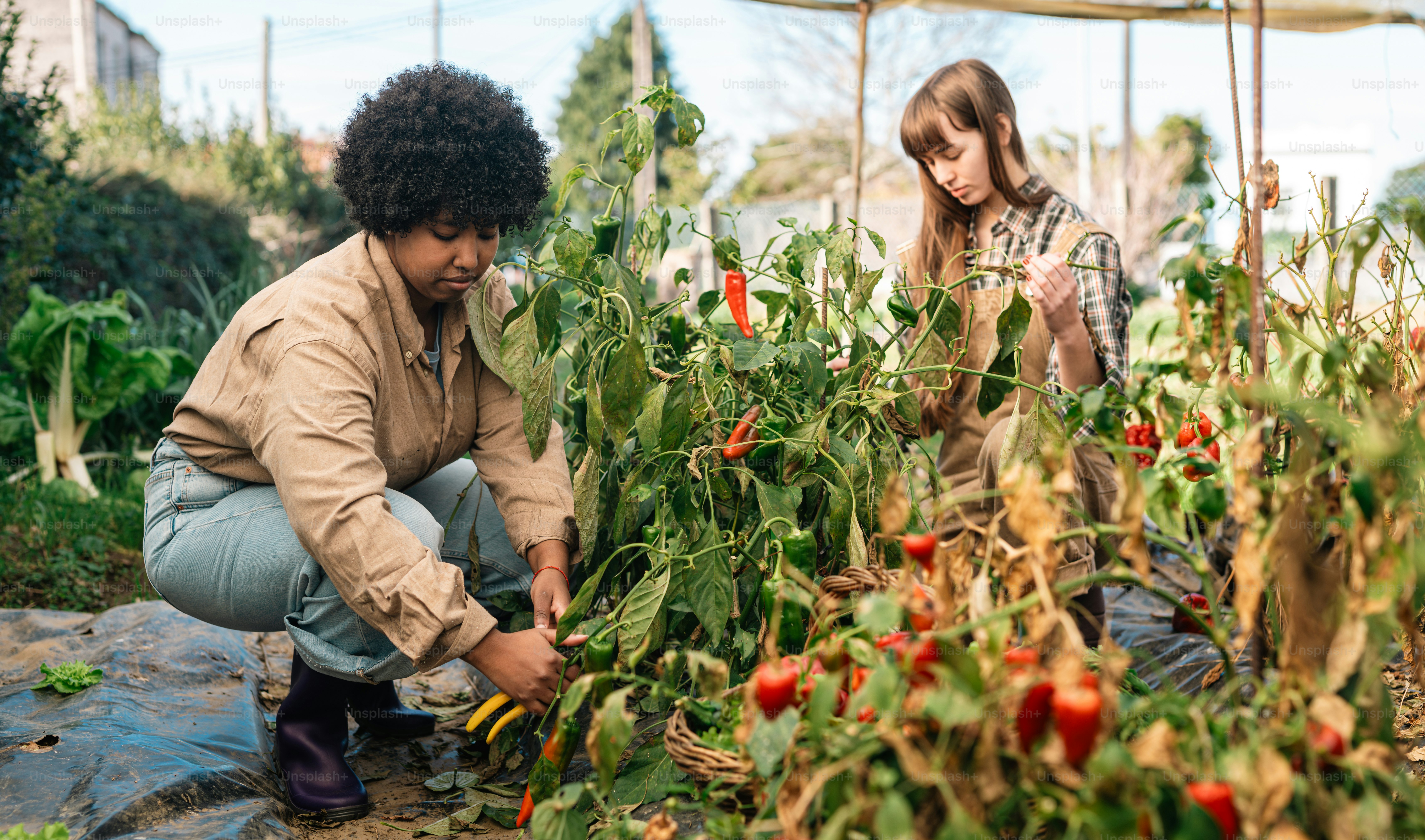 Un paio di persone che si trovano in un campo