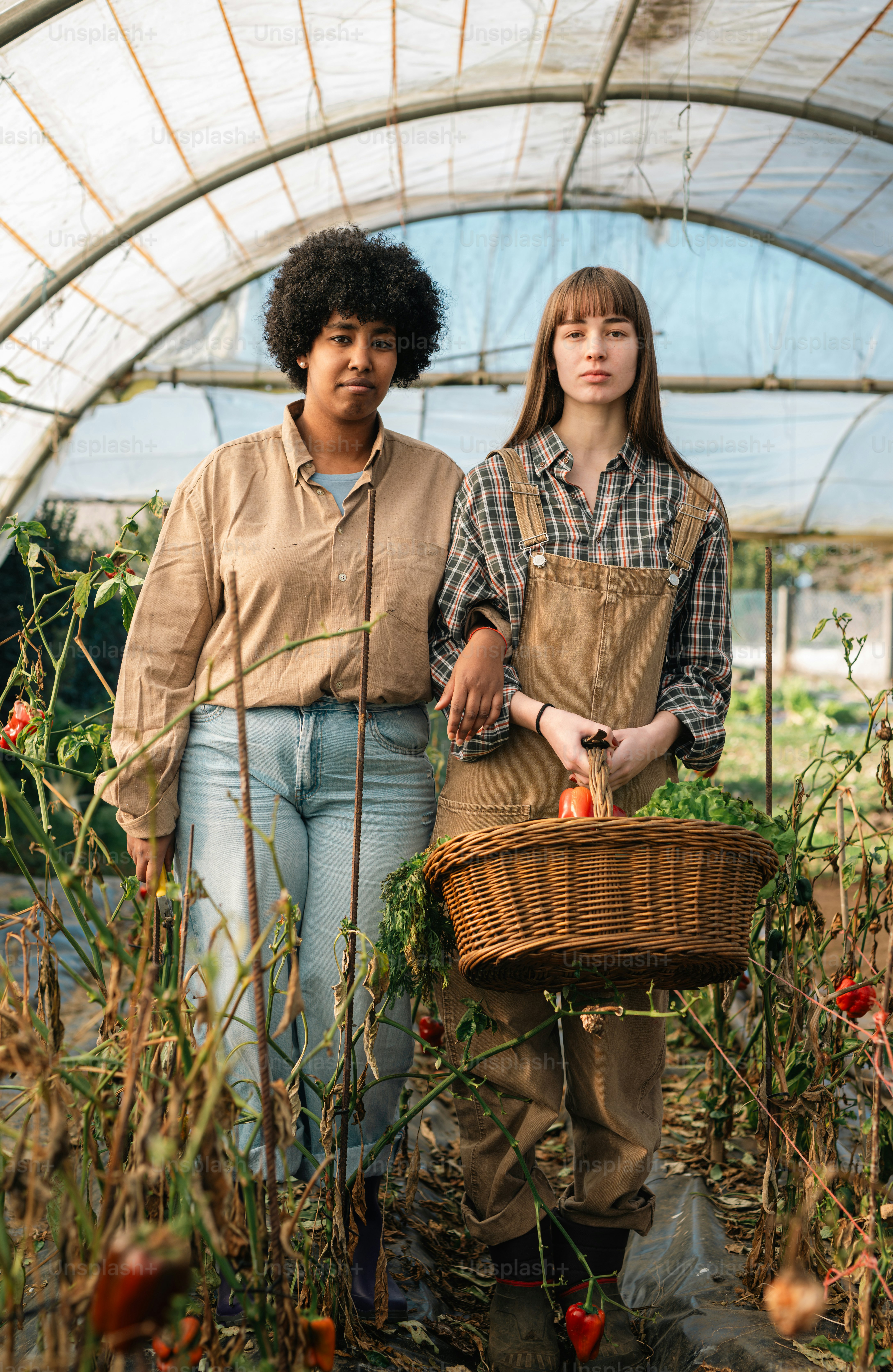 Una coppia di donne in piedi l'una accanto all'altra in una serra