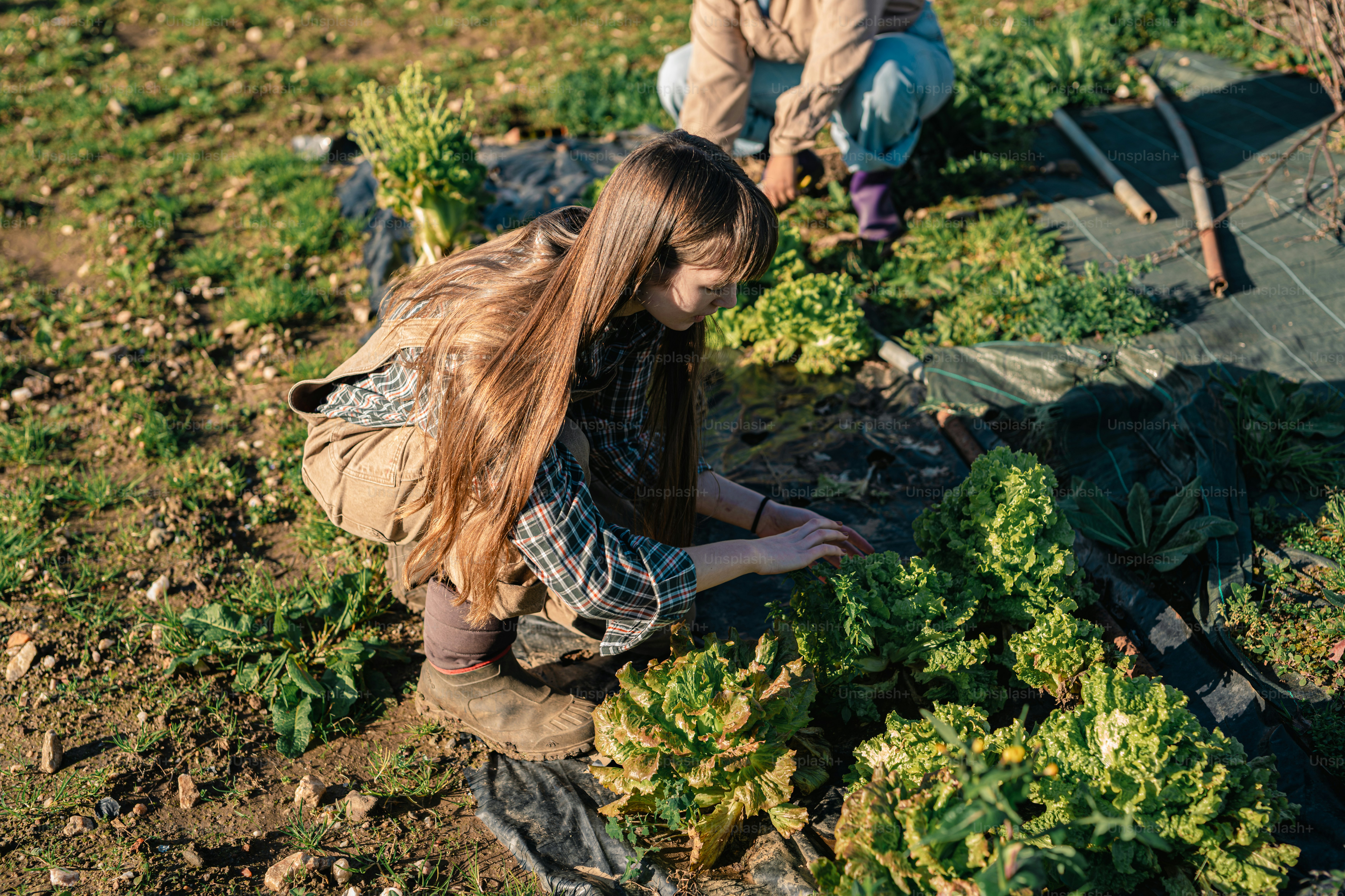 Un paio di persone che sono inginocchiate nella sporcizia