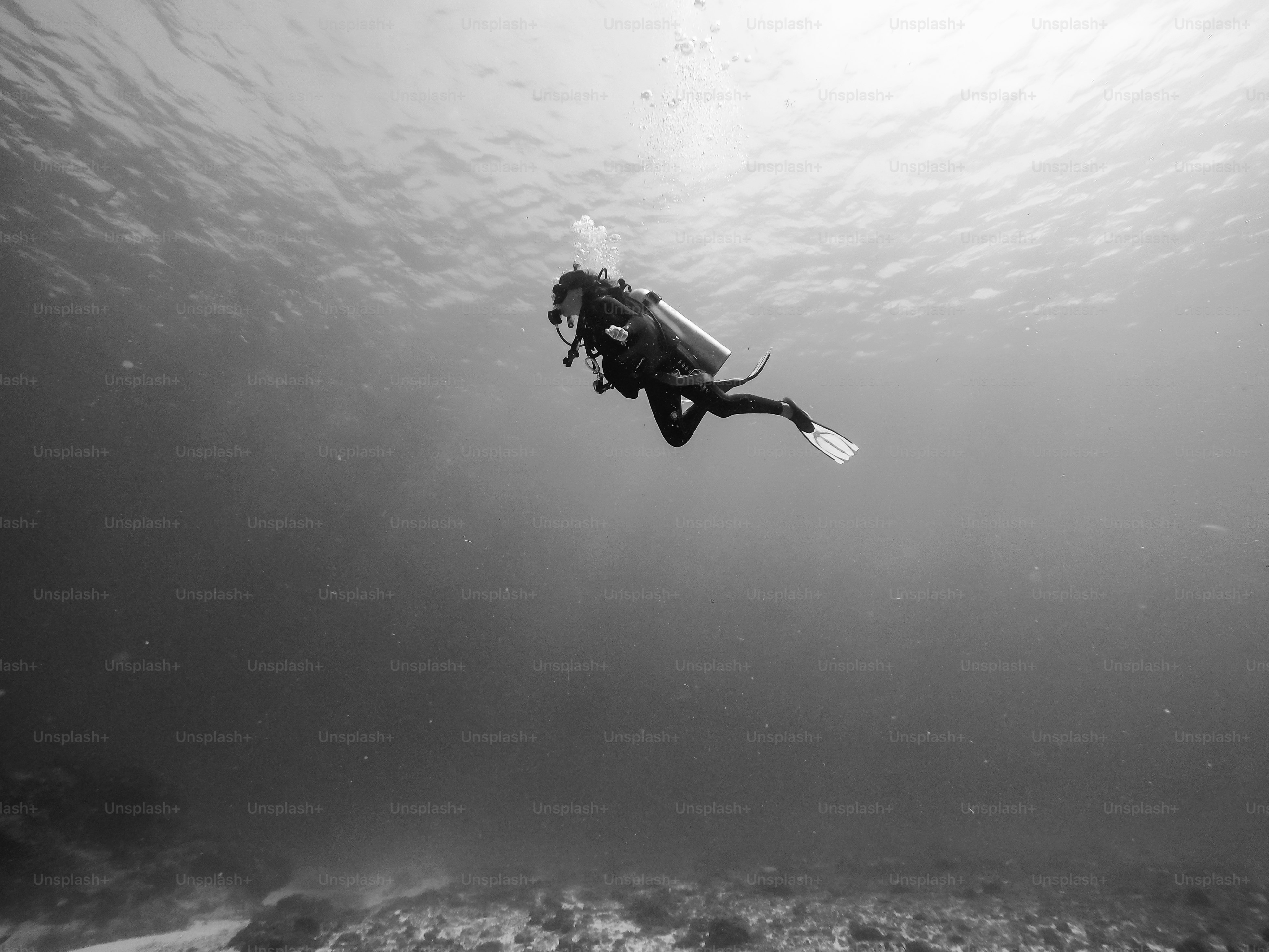 A person in a wet suit diving in the ocean