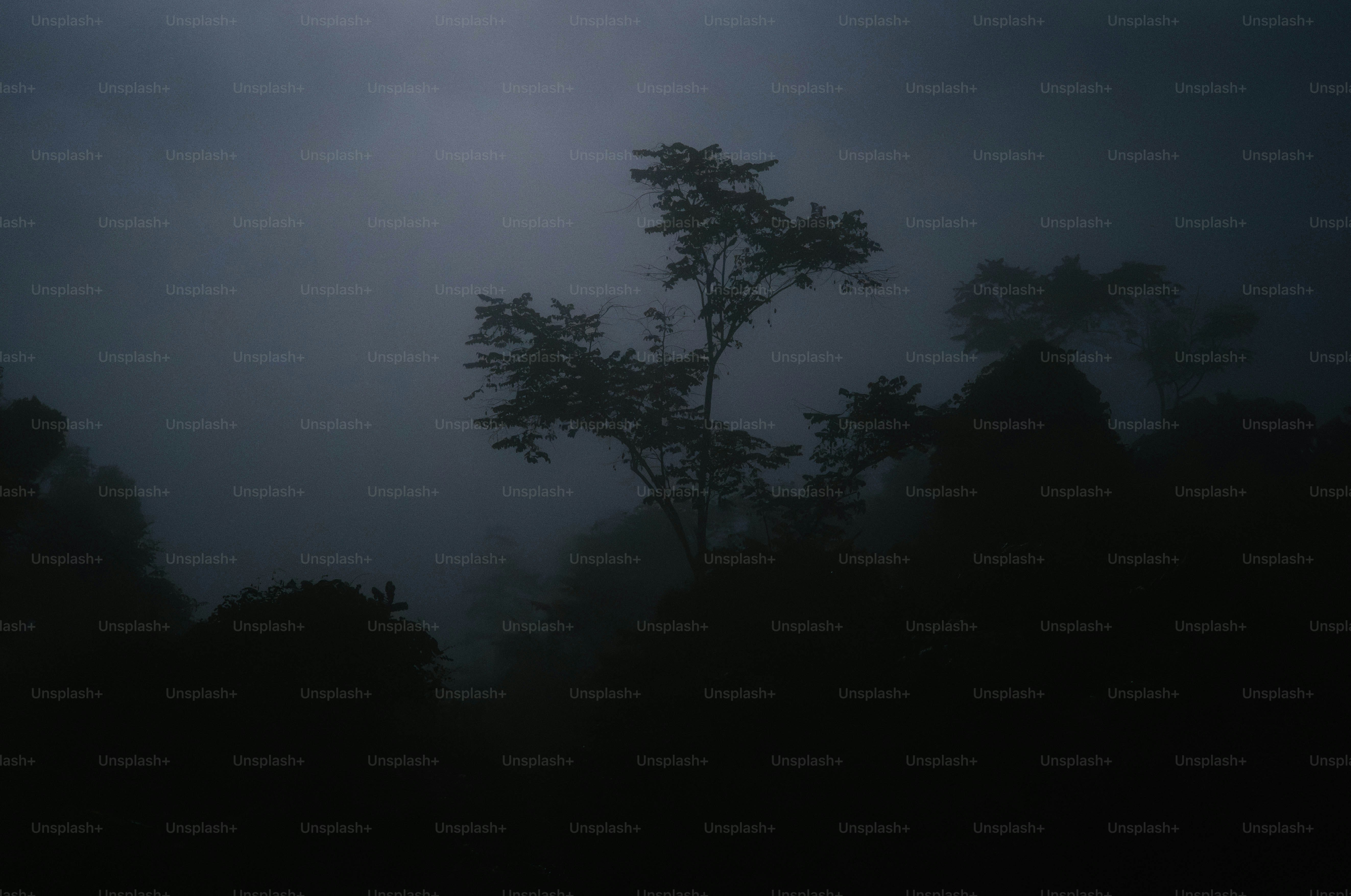 A full moon is seen in the dark sky