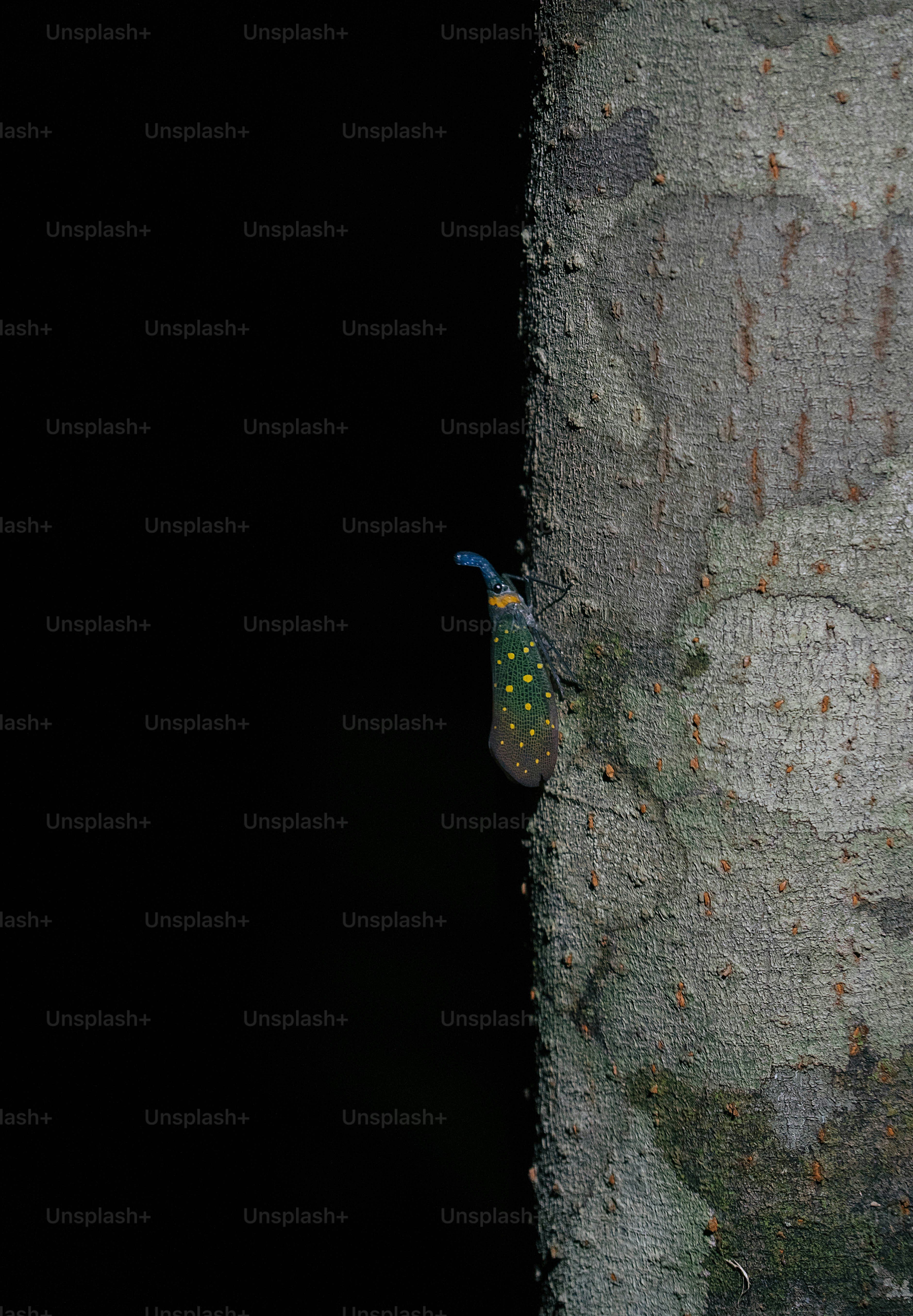 A close up of a tree with a bird on it