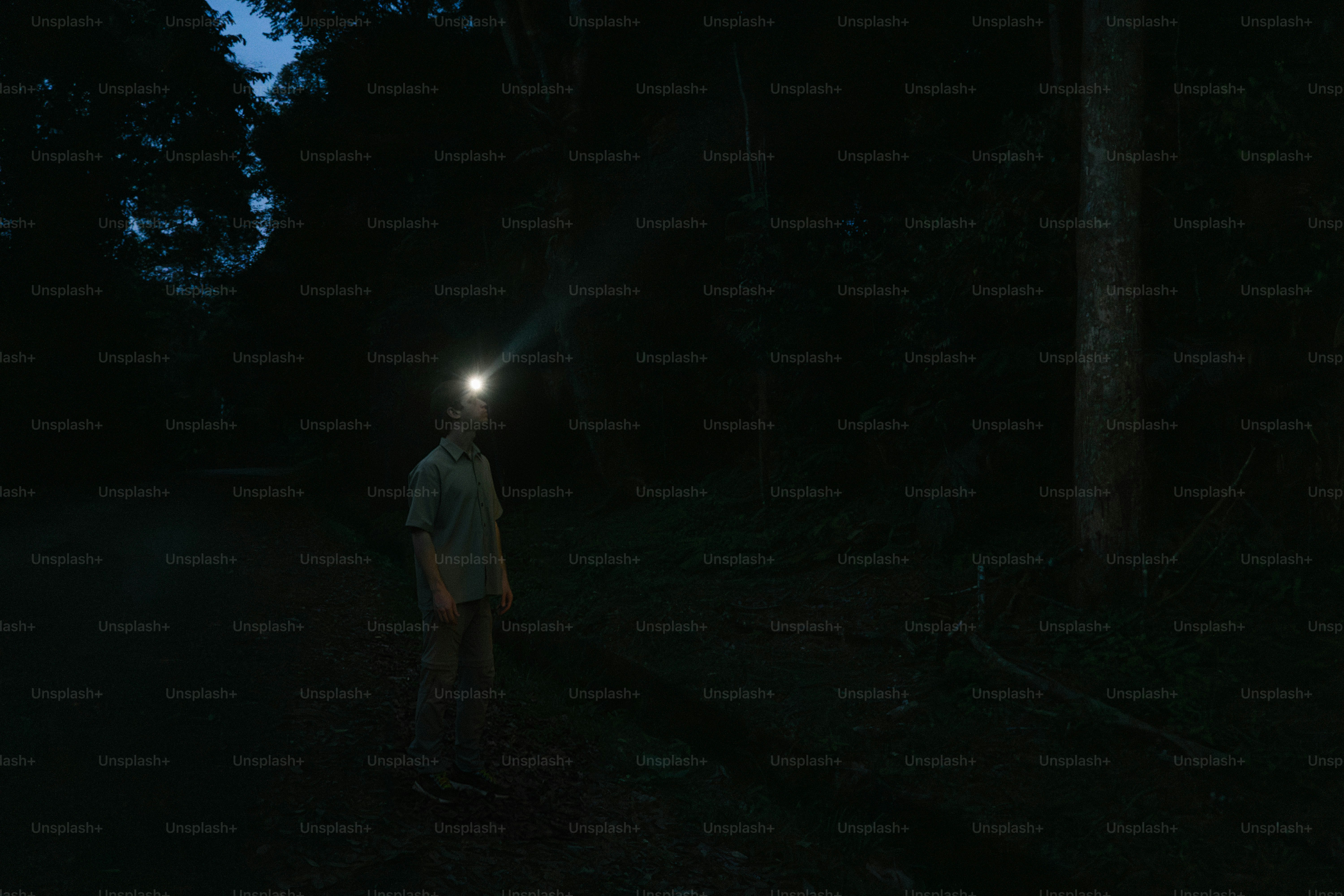 A man standing in the middle of a forest at night