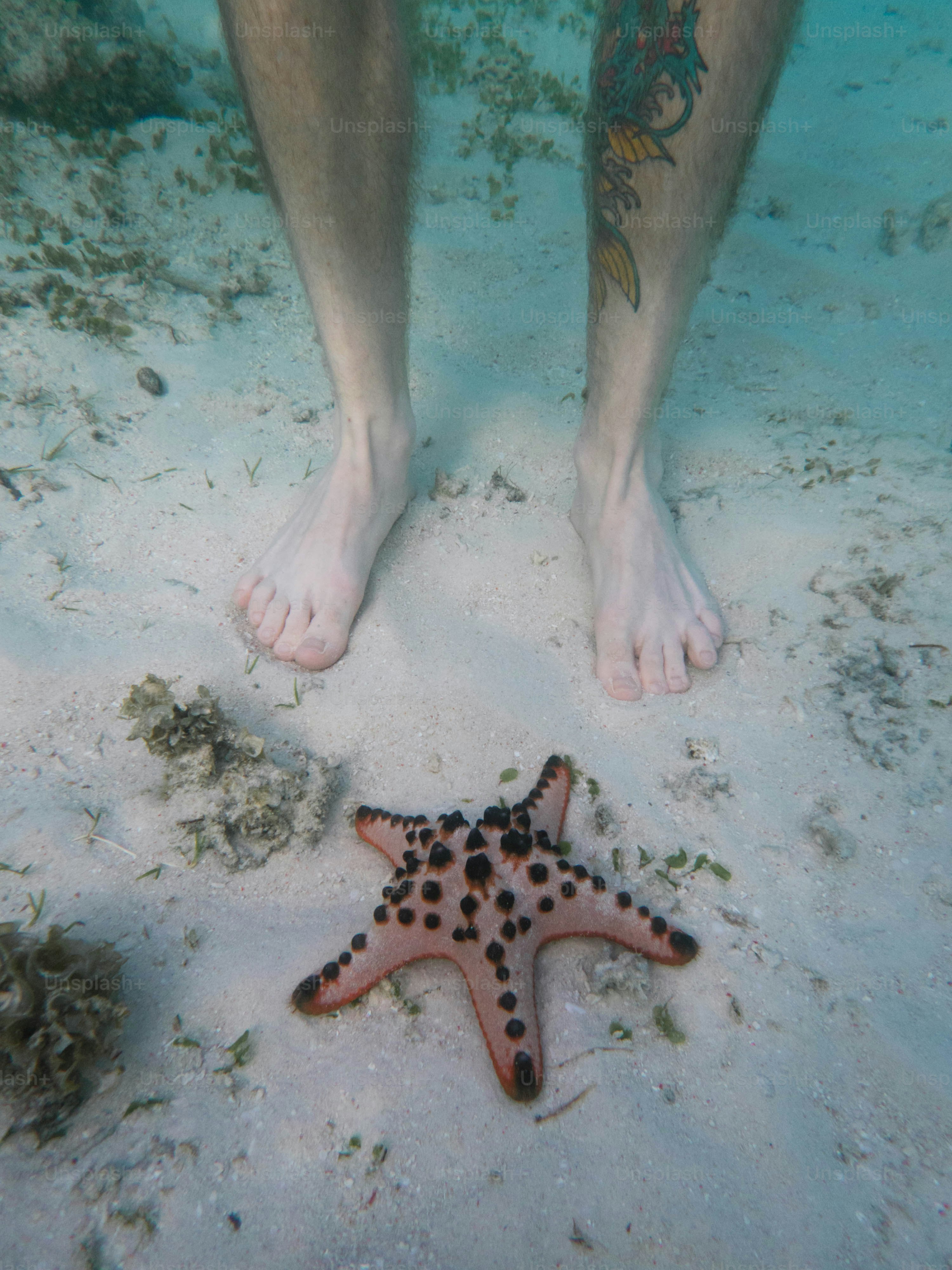 불가사리 옆의 모래 해변에 서있는 남자