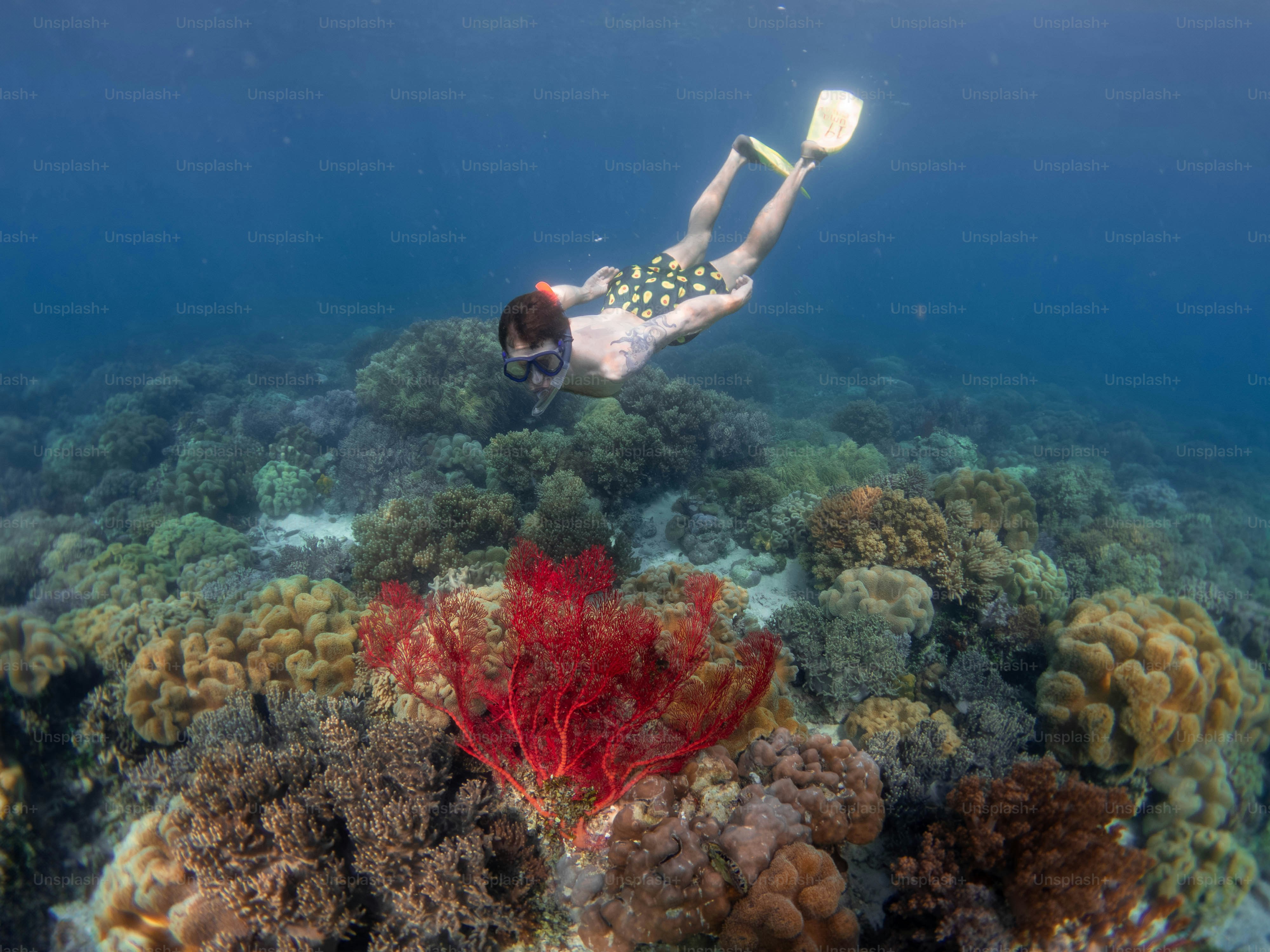 photos de plongée bouteille avec bulle, silhouette plongeur