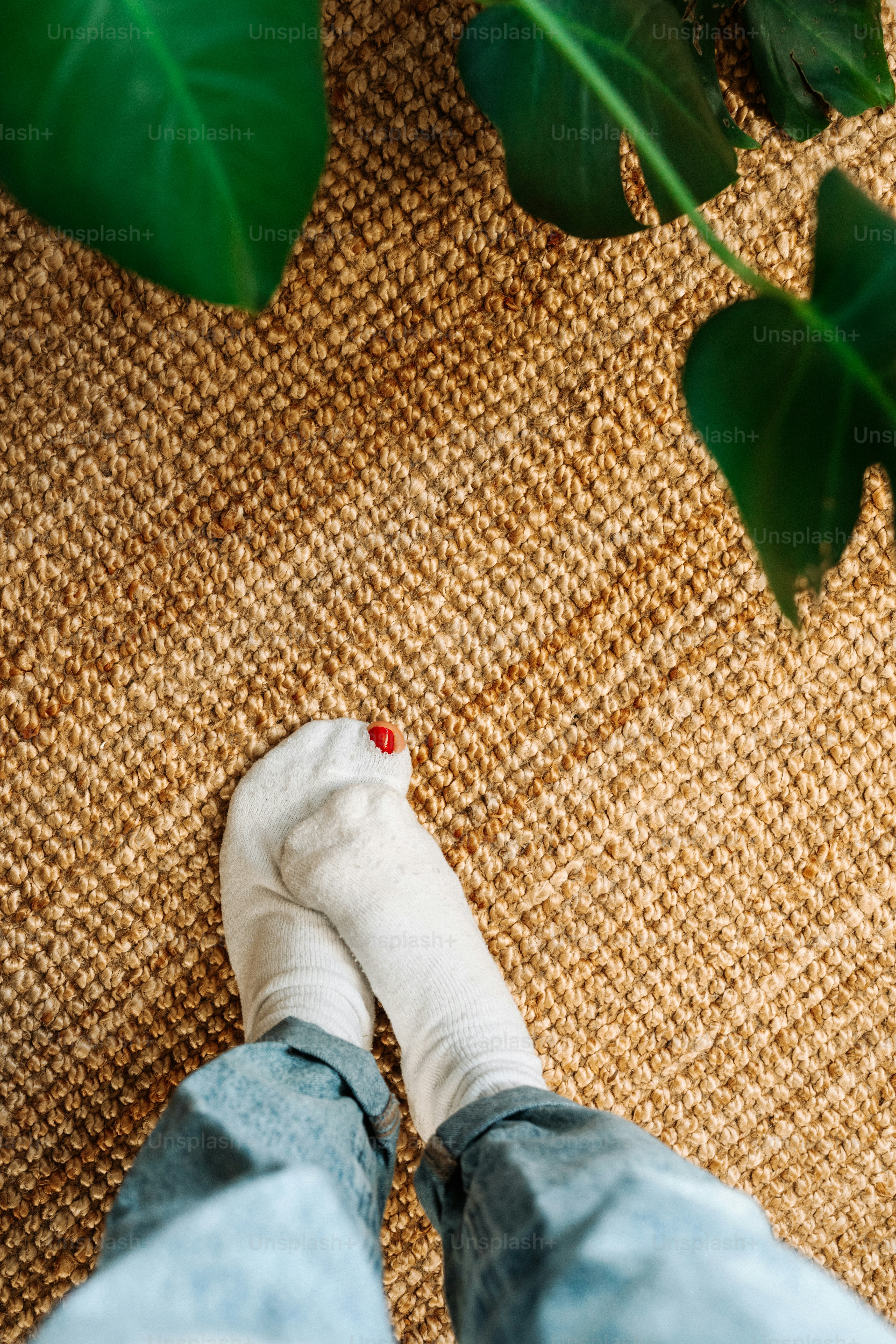 A person standing on a rug next to a plant