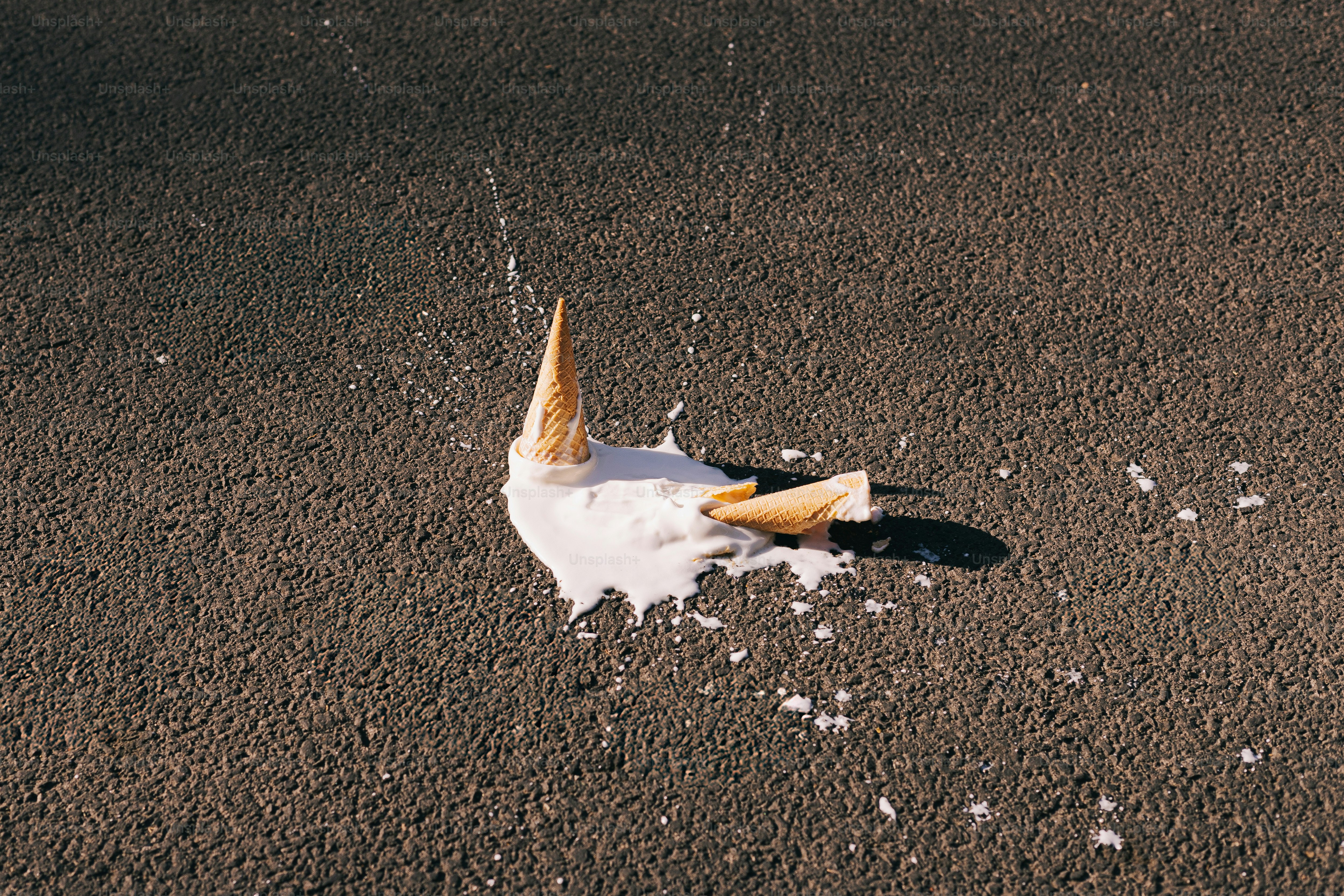 A bird with its head in the sand