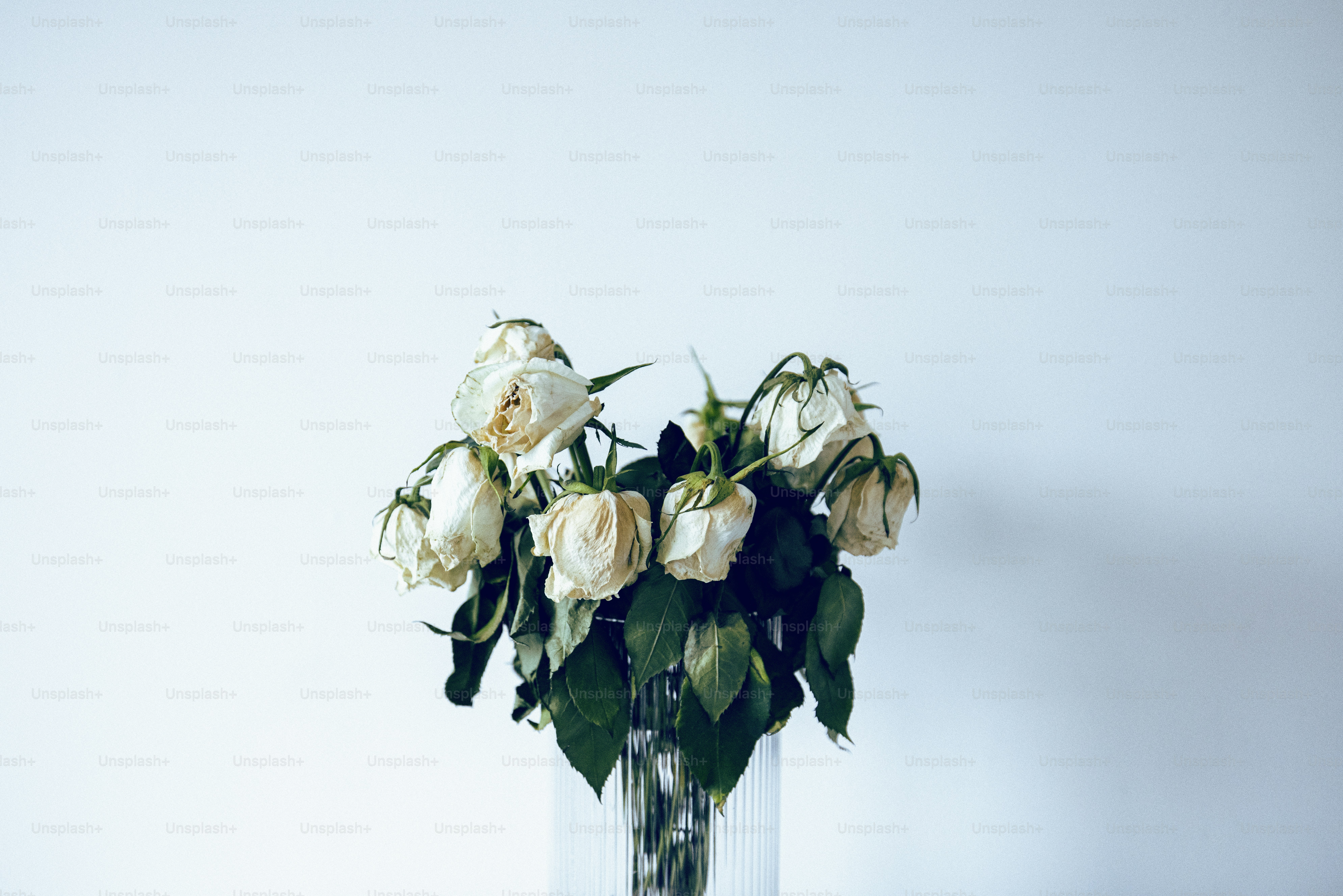 Um vaso claro com flores brancas em uma mesa