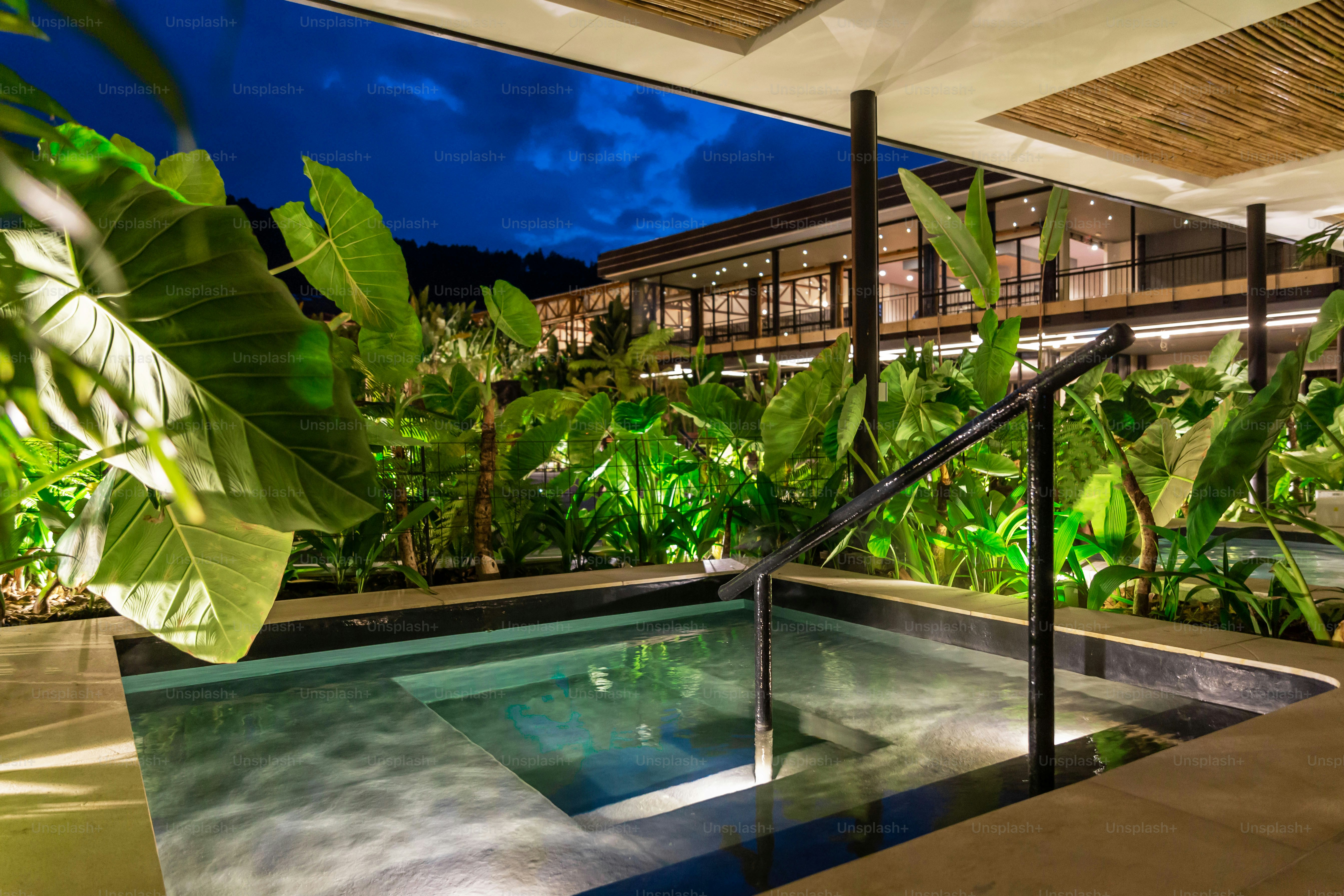 A swimming pool surrounded by greenery at night