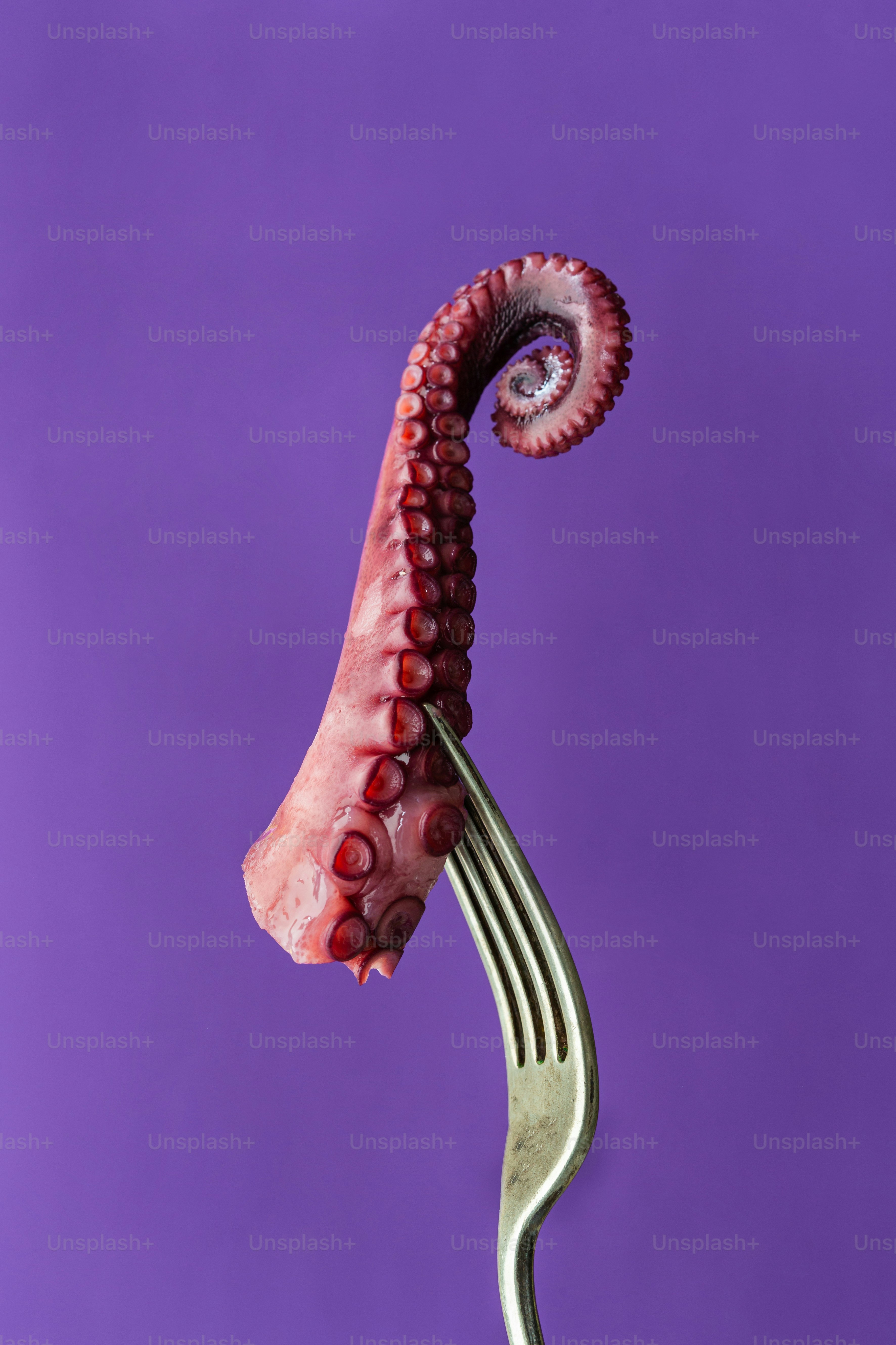 A fork with a piece of food on it