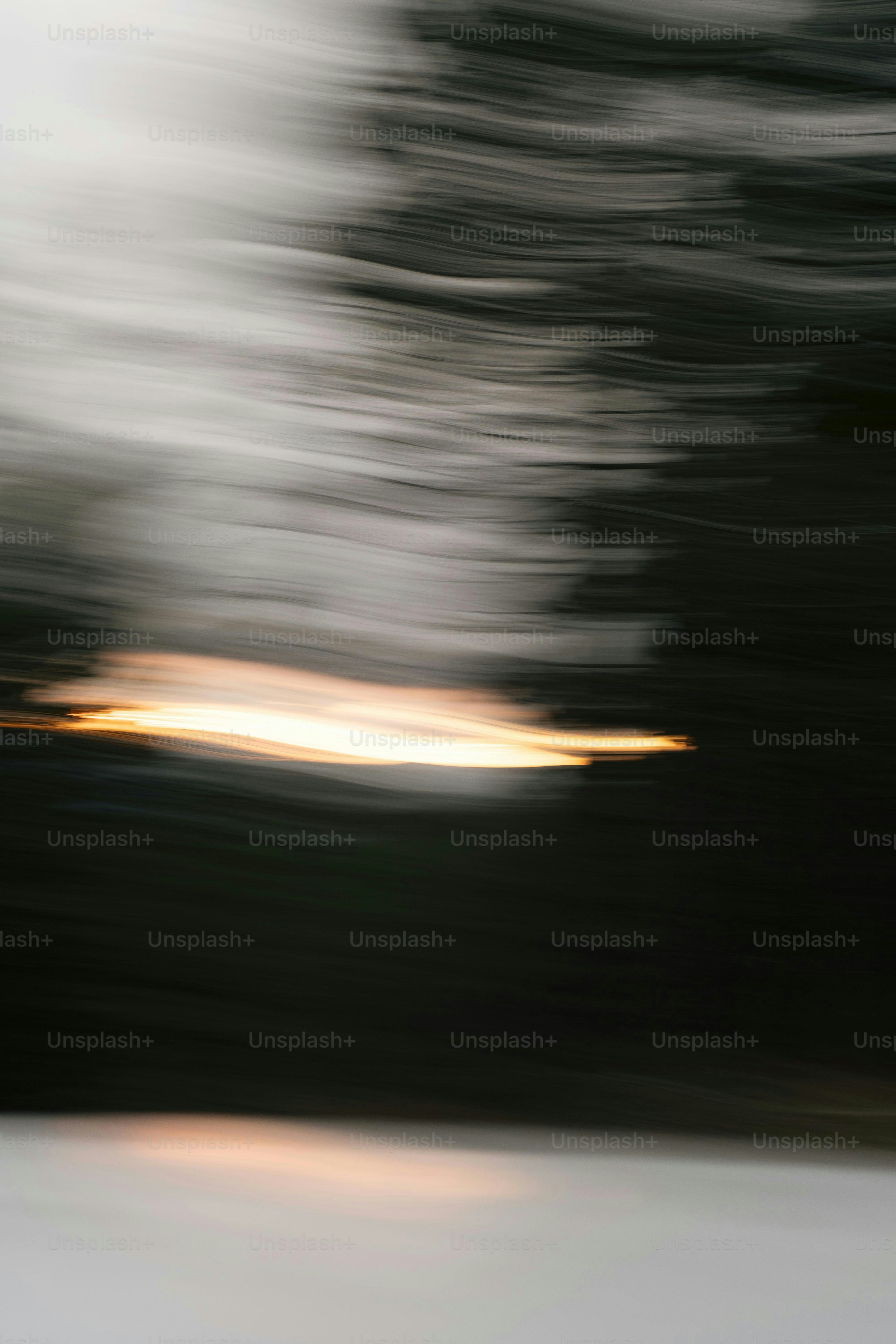 A blurry photo of a bird flying in the air