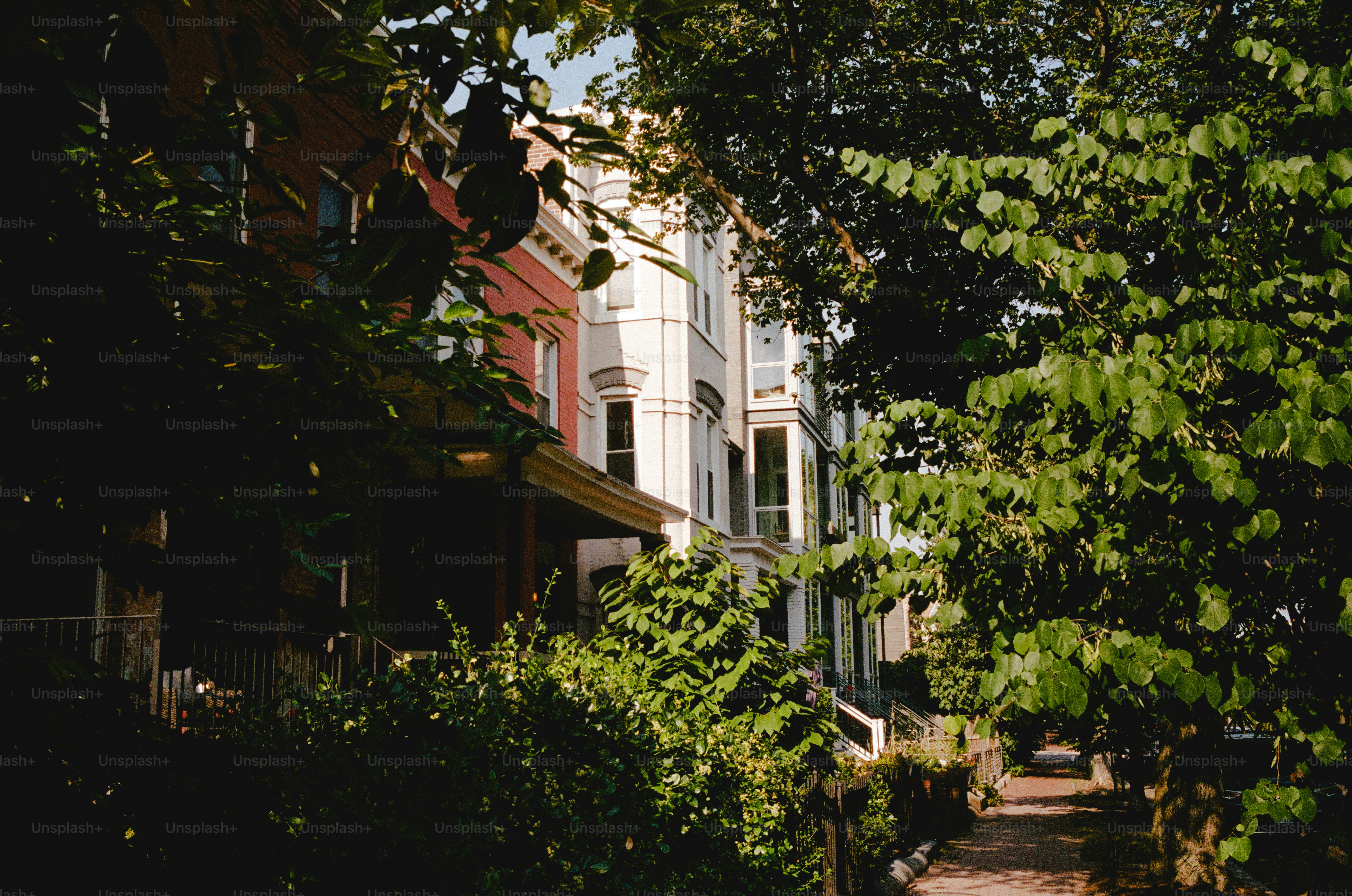 A row of houses with trees in front of them