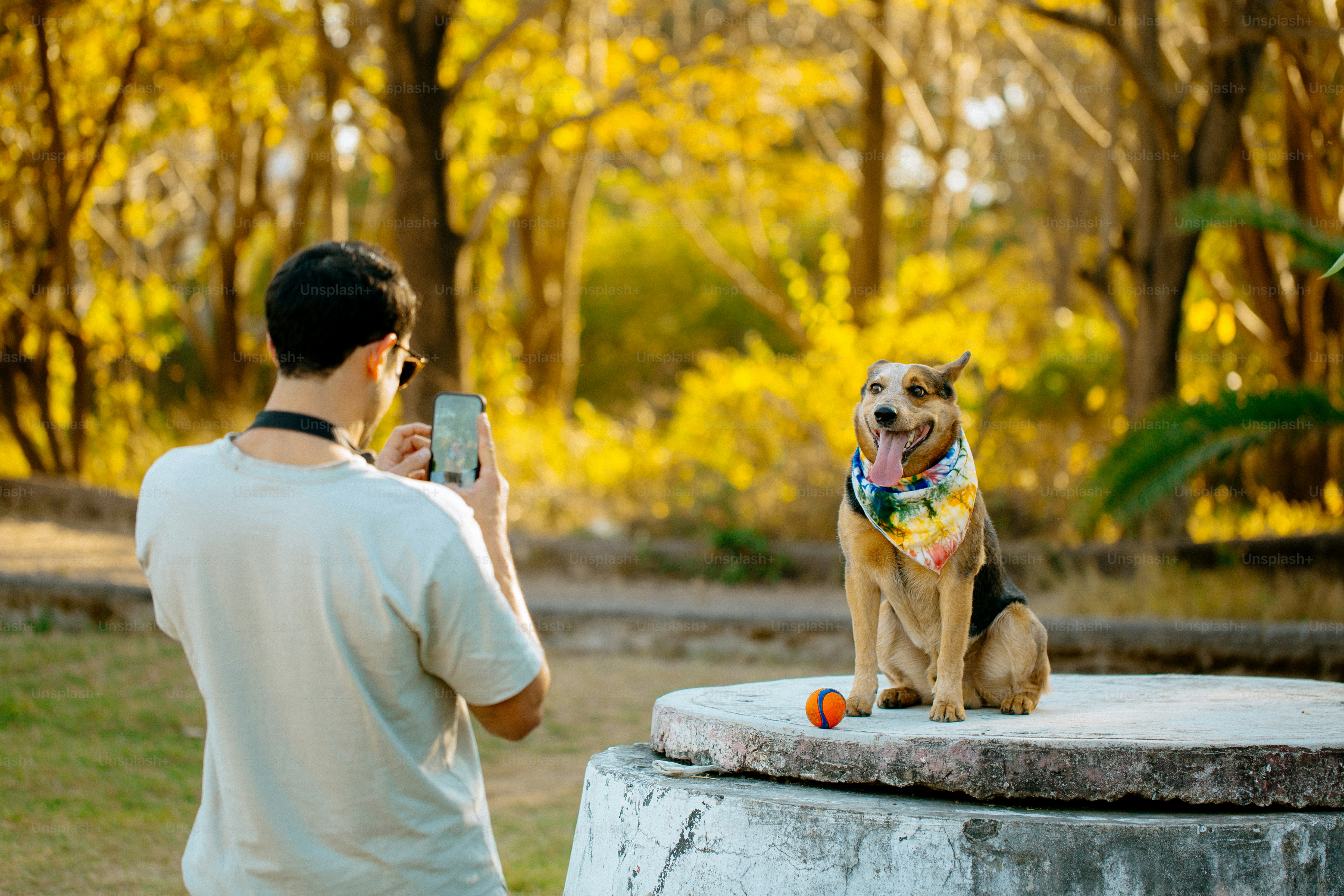 A man taking a picture of a dog with a cell phone