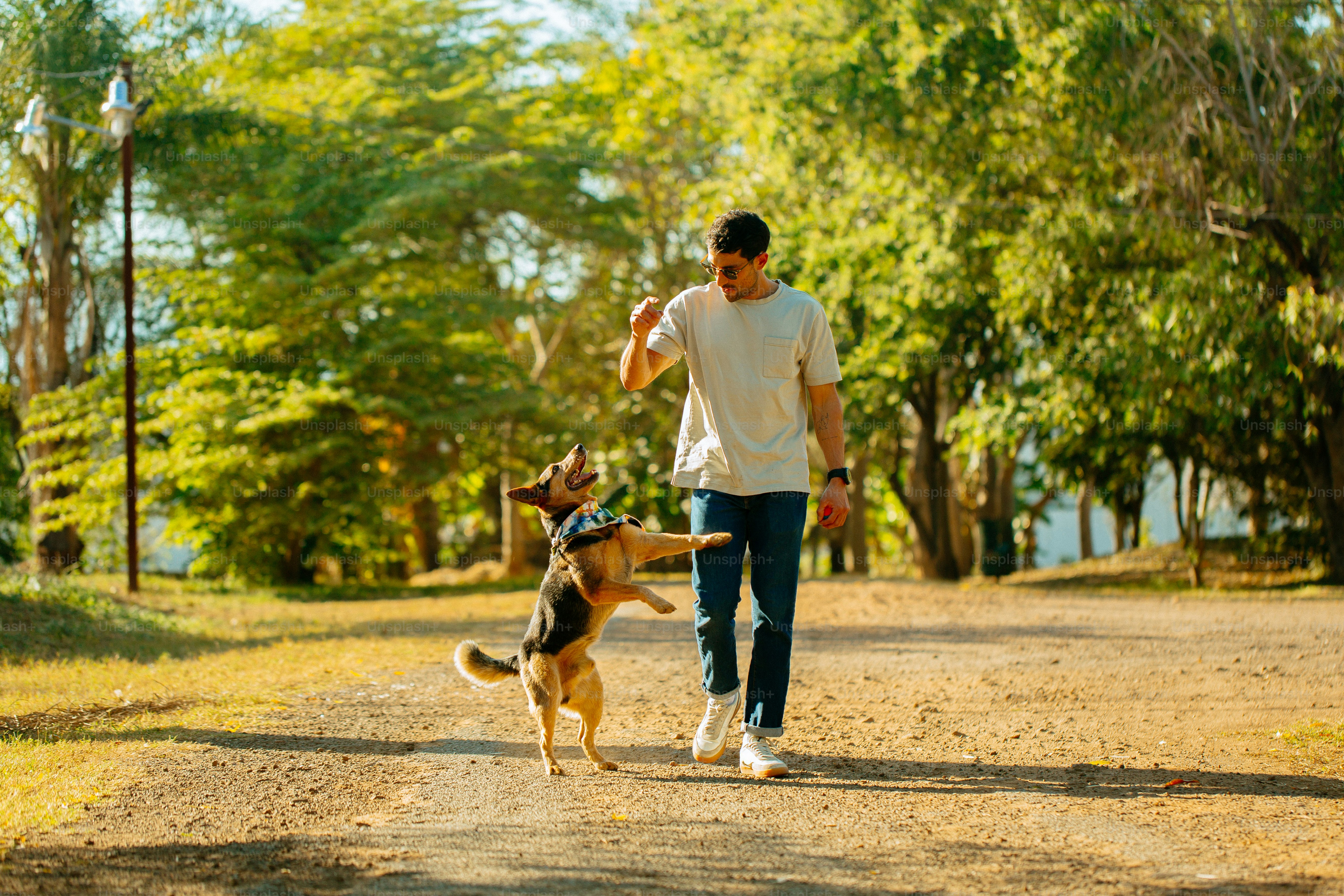 A man walking a dog on a dirt road