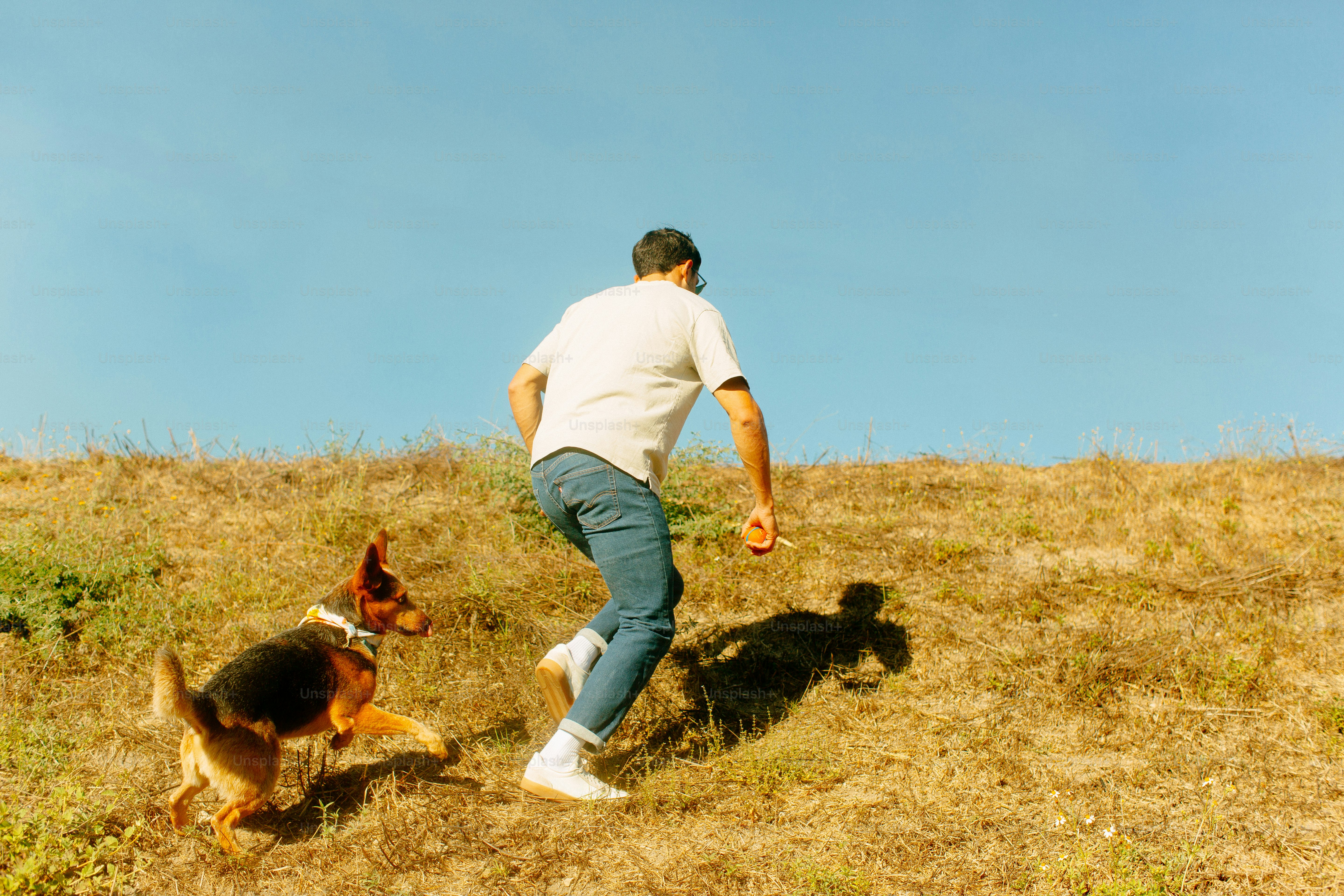 A man and his dog are playing frisbee in a field