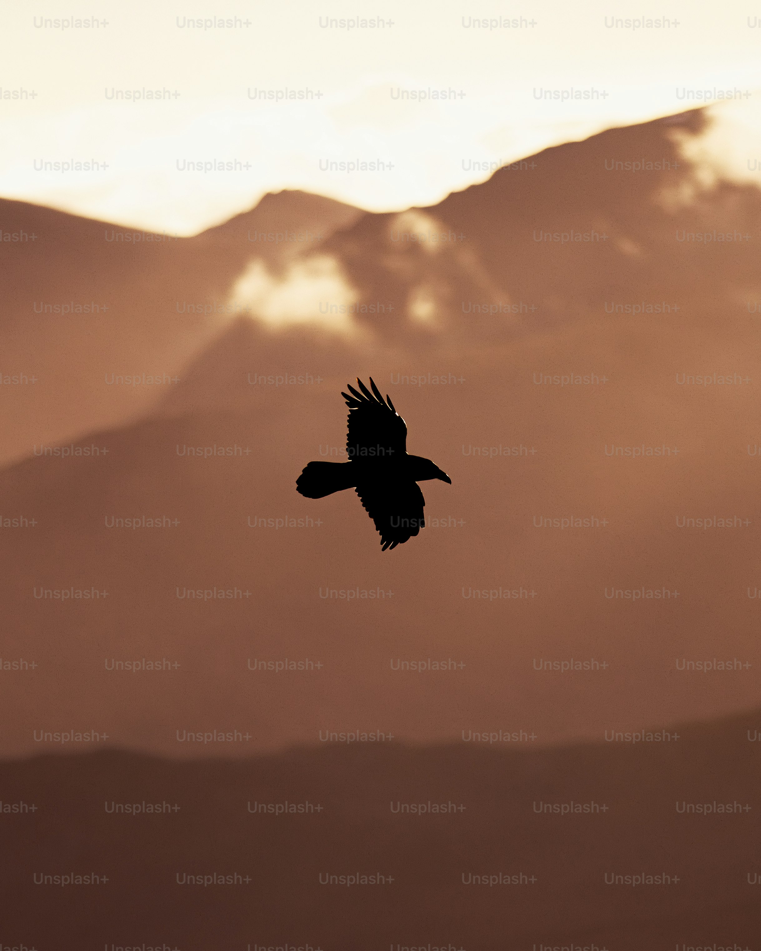 A bird flying in the sky with mountains in the background