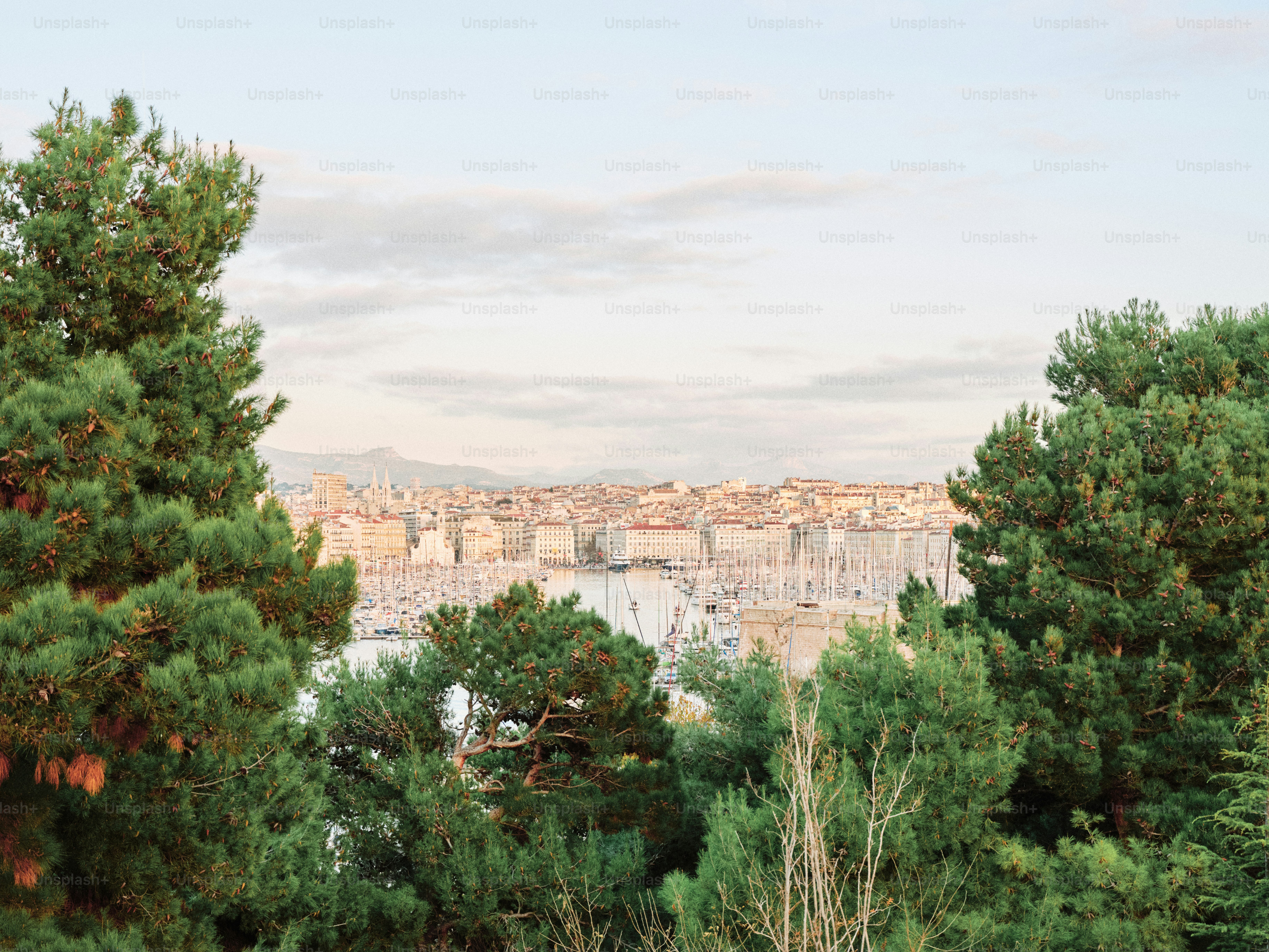 A view of a city through some trees