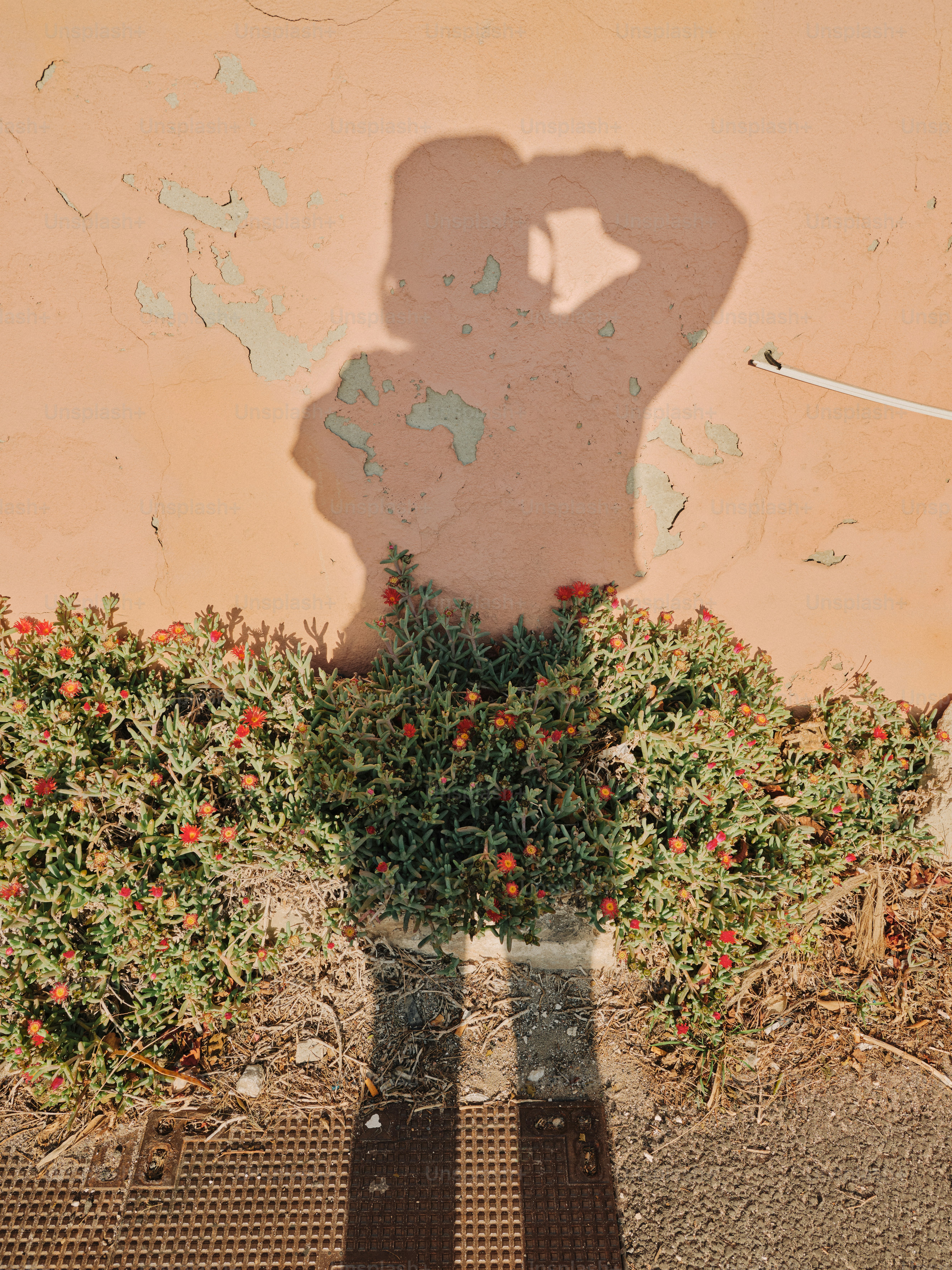 A shadow of a person standing in front of a wall